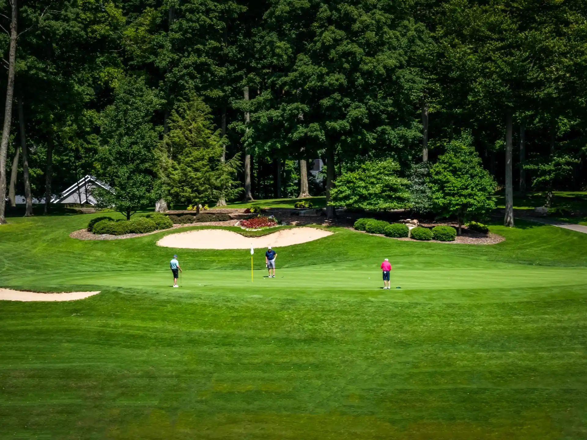 a group of people playing golf