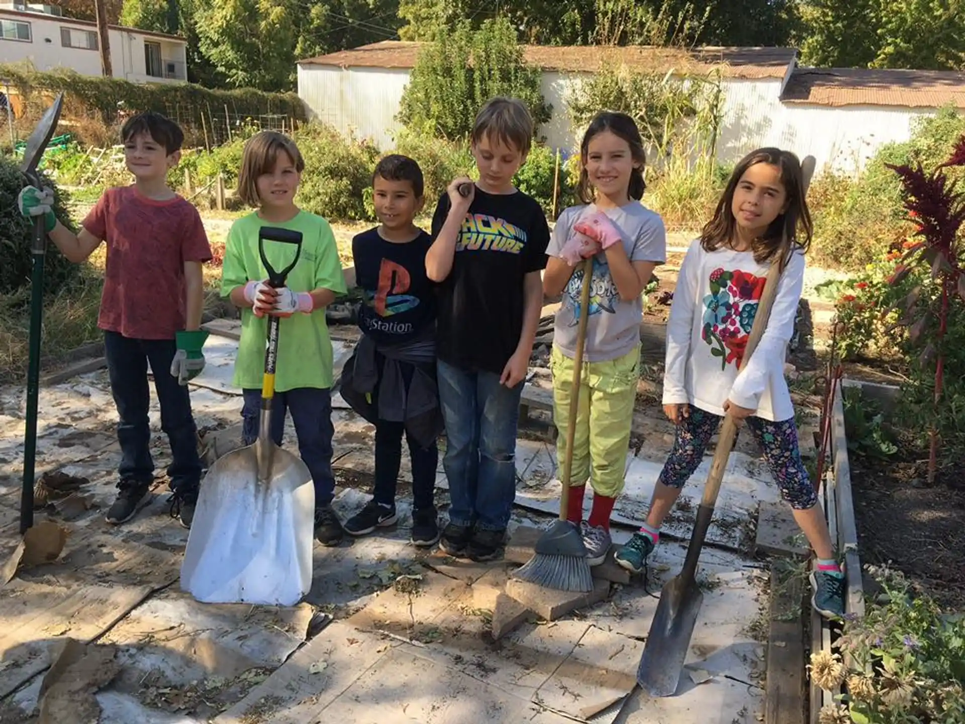 a group of children standing outside