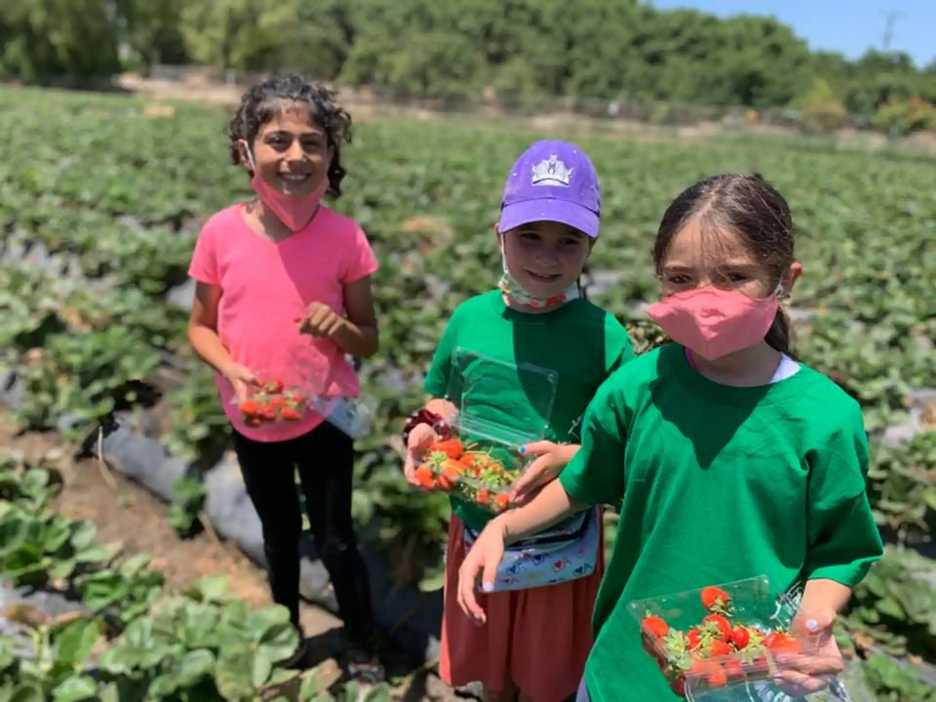 a group of children holding flowers
