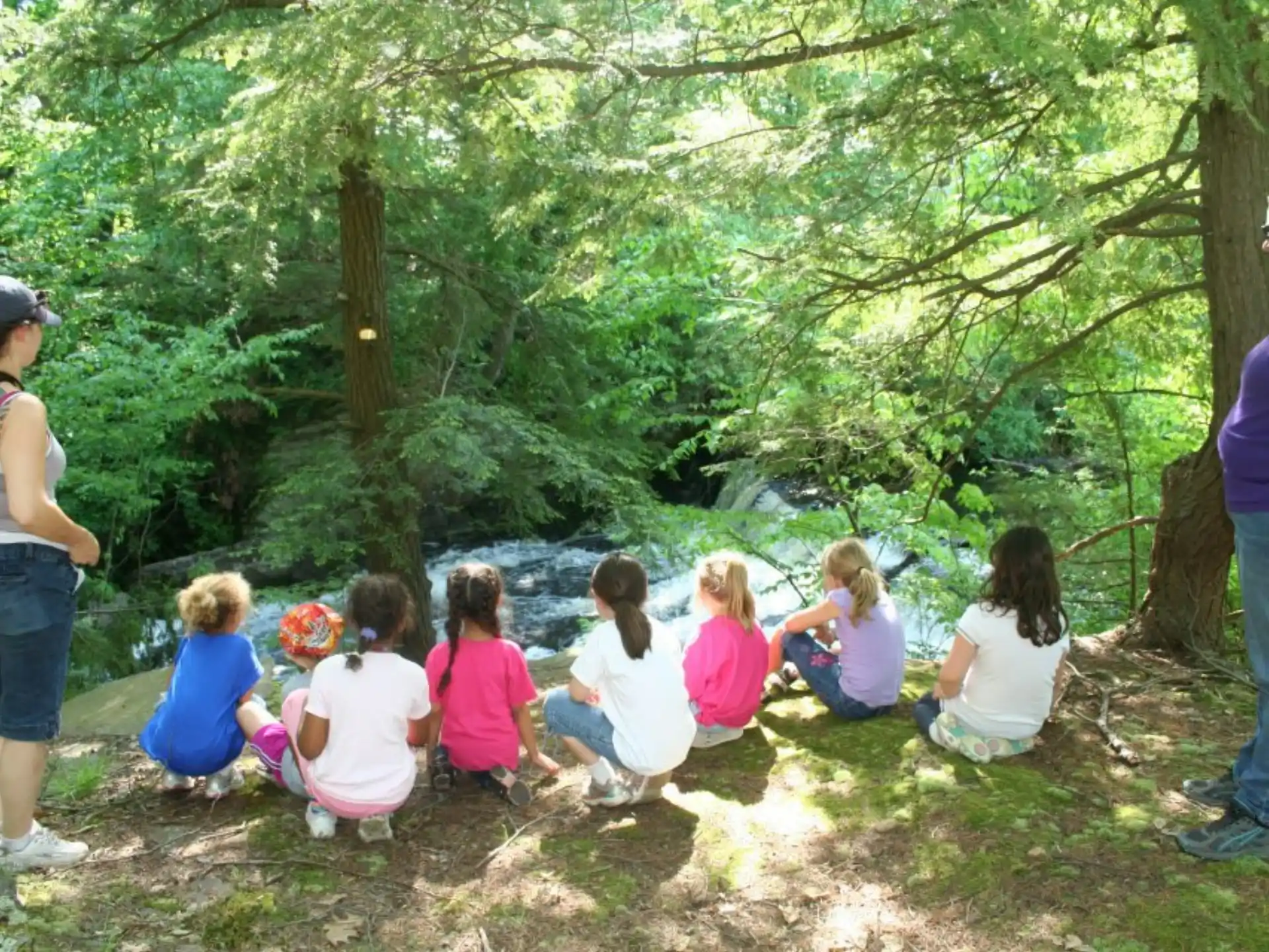 a group of people sitting in the woods