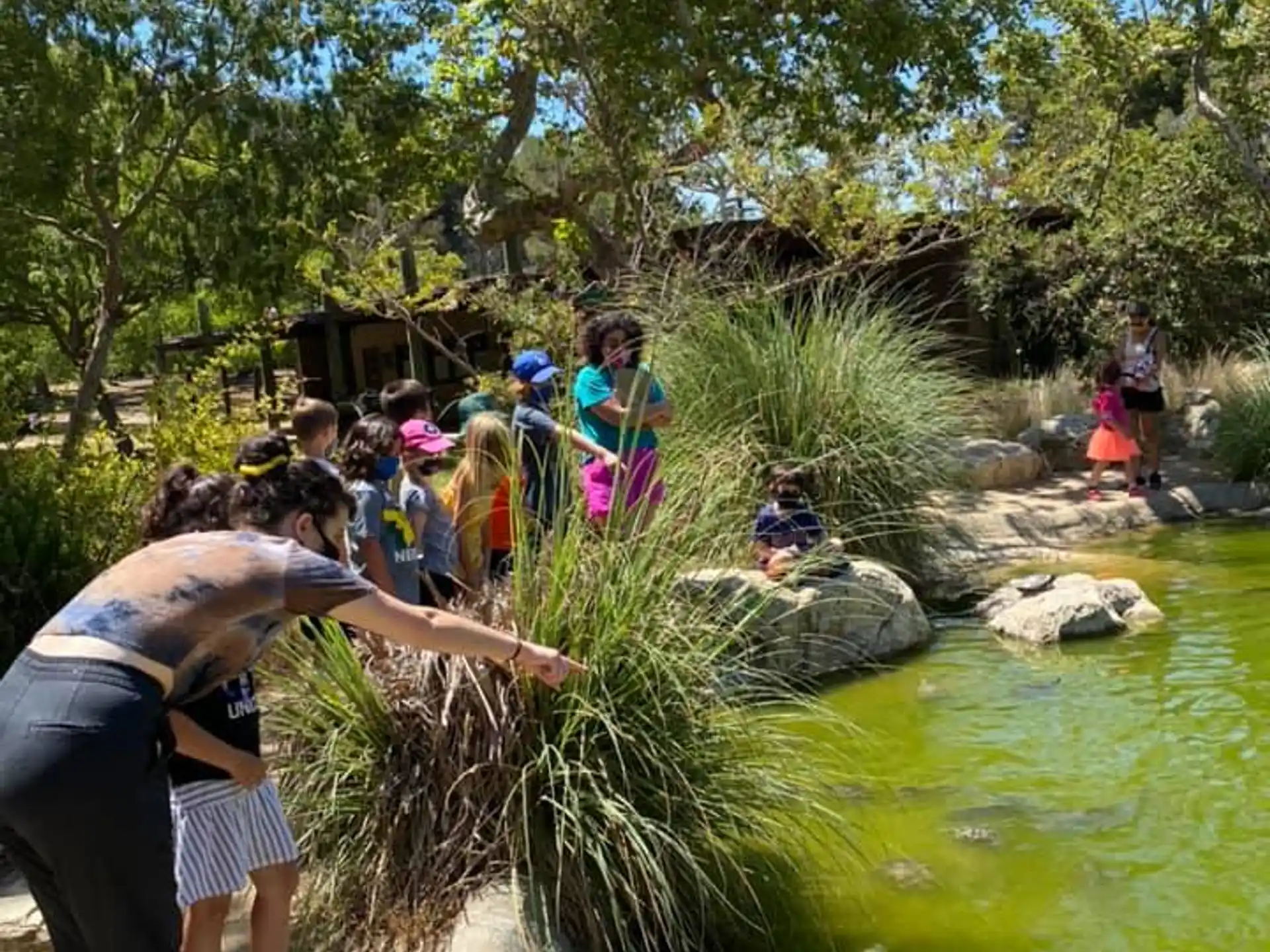 a group of people standing on rocks by a river