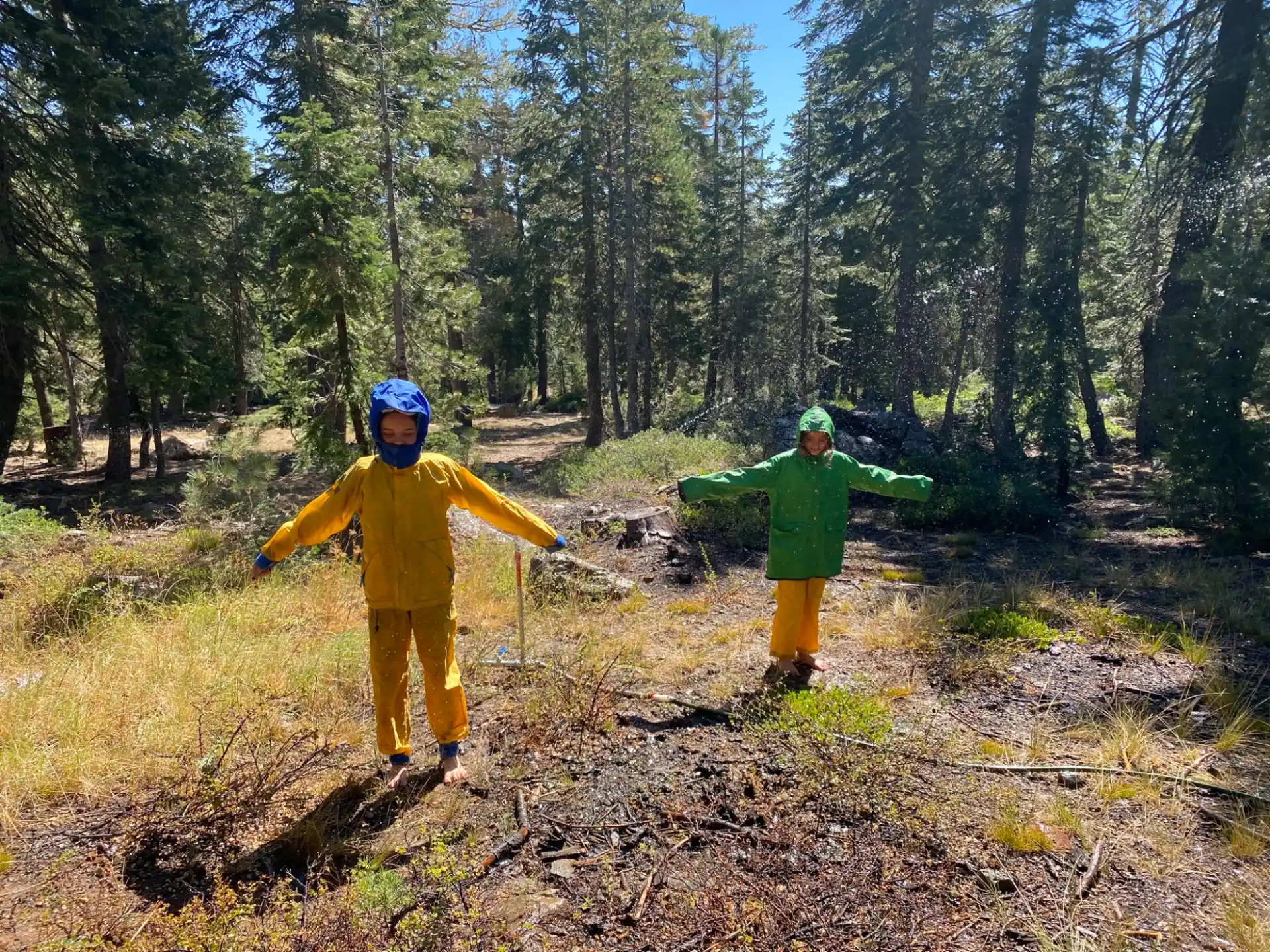 two people in rain gear walking in a forest