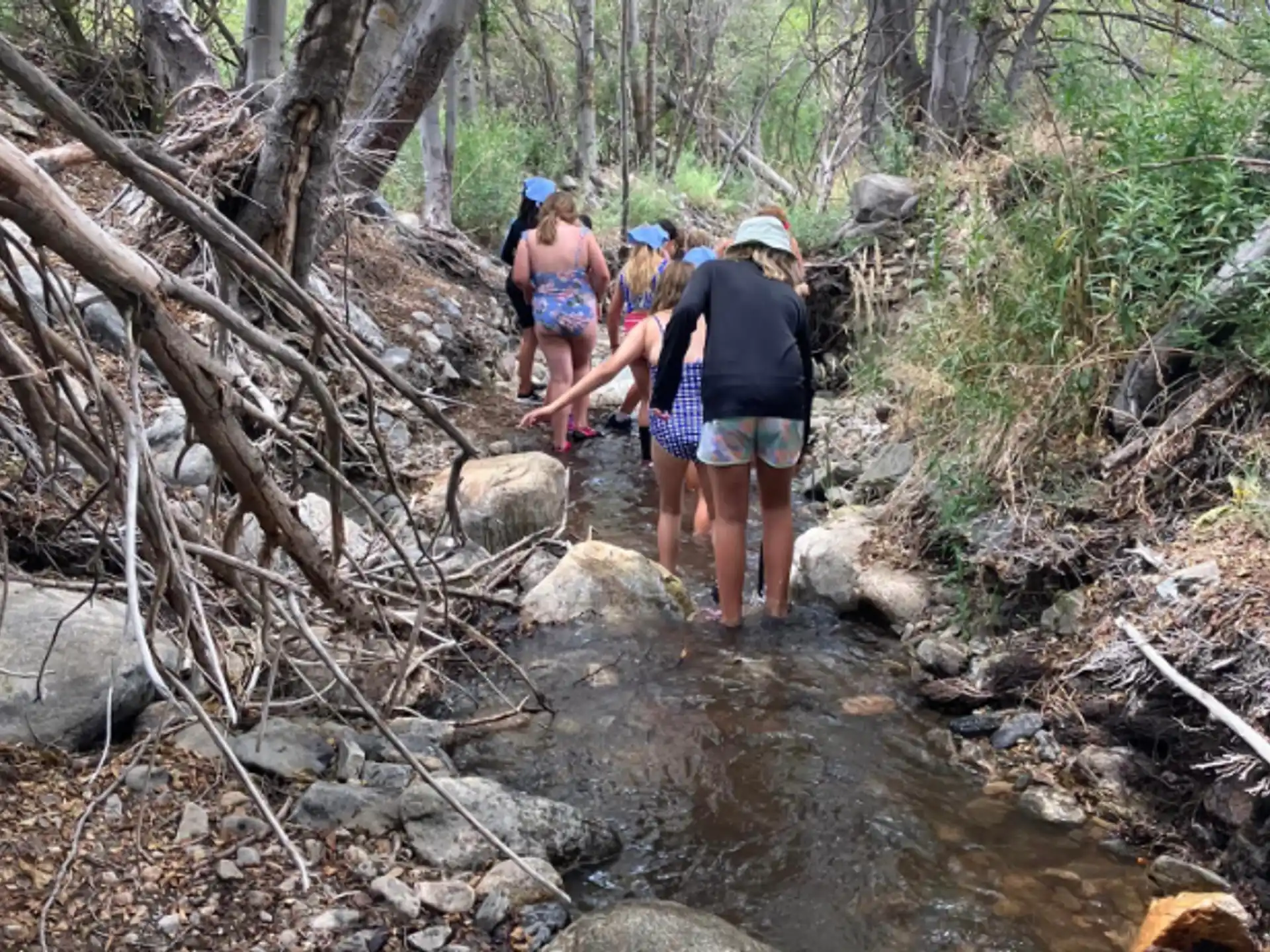 a group of people walking on a rocky path in the woods