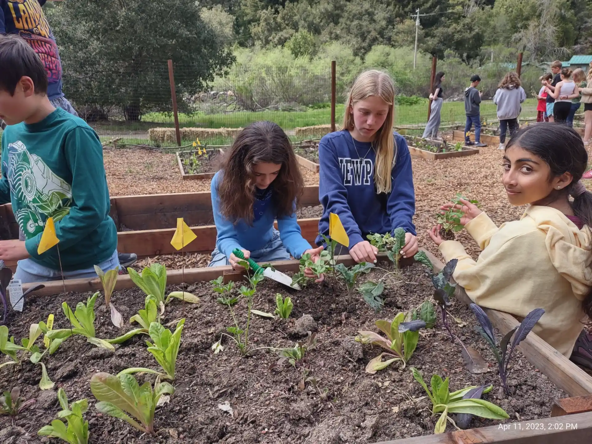 a group of children working in a garden
