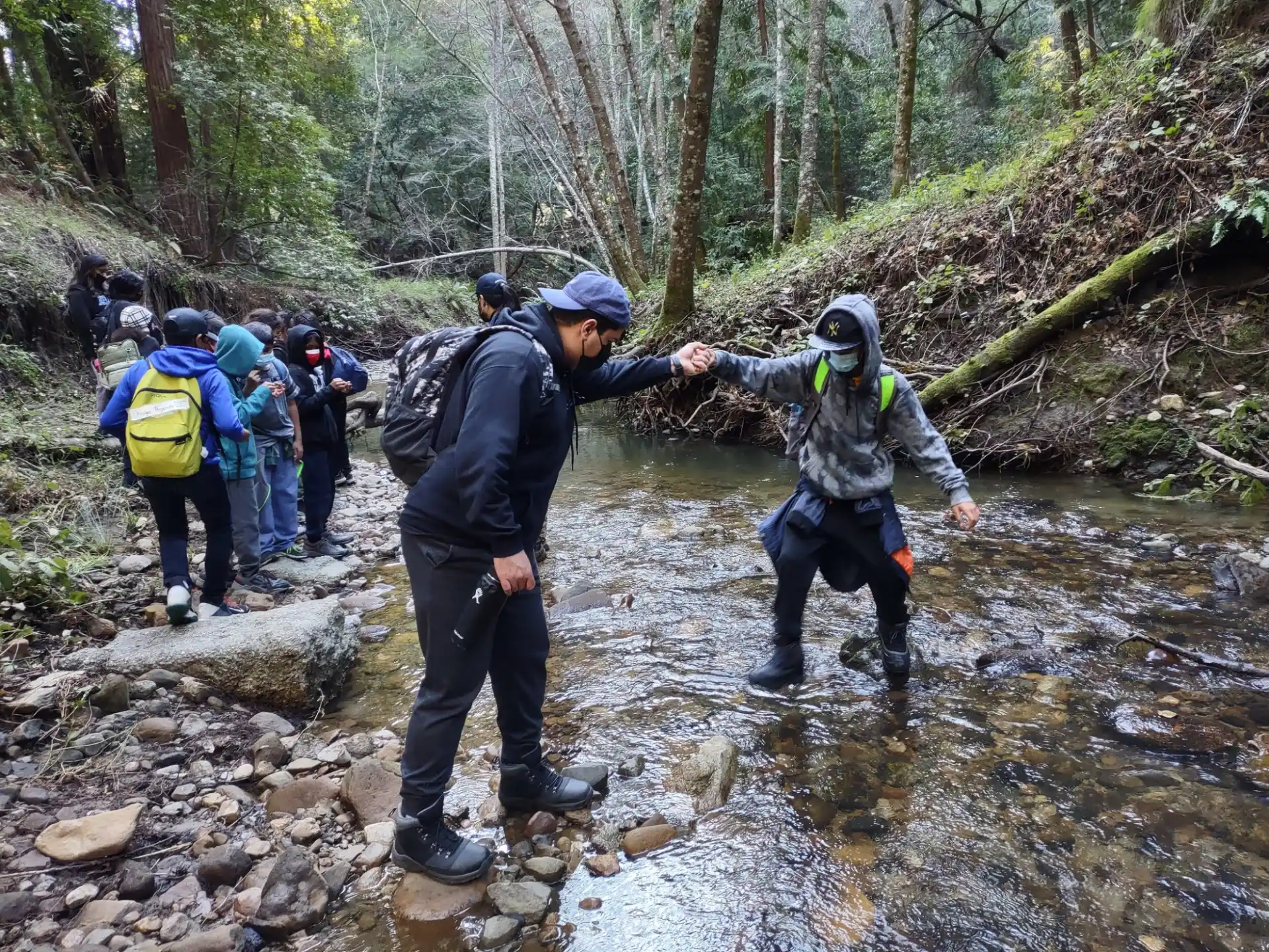 a group of people hiking in the woods