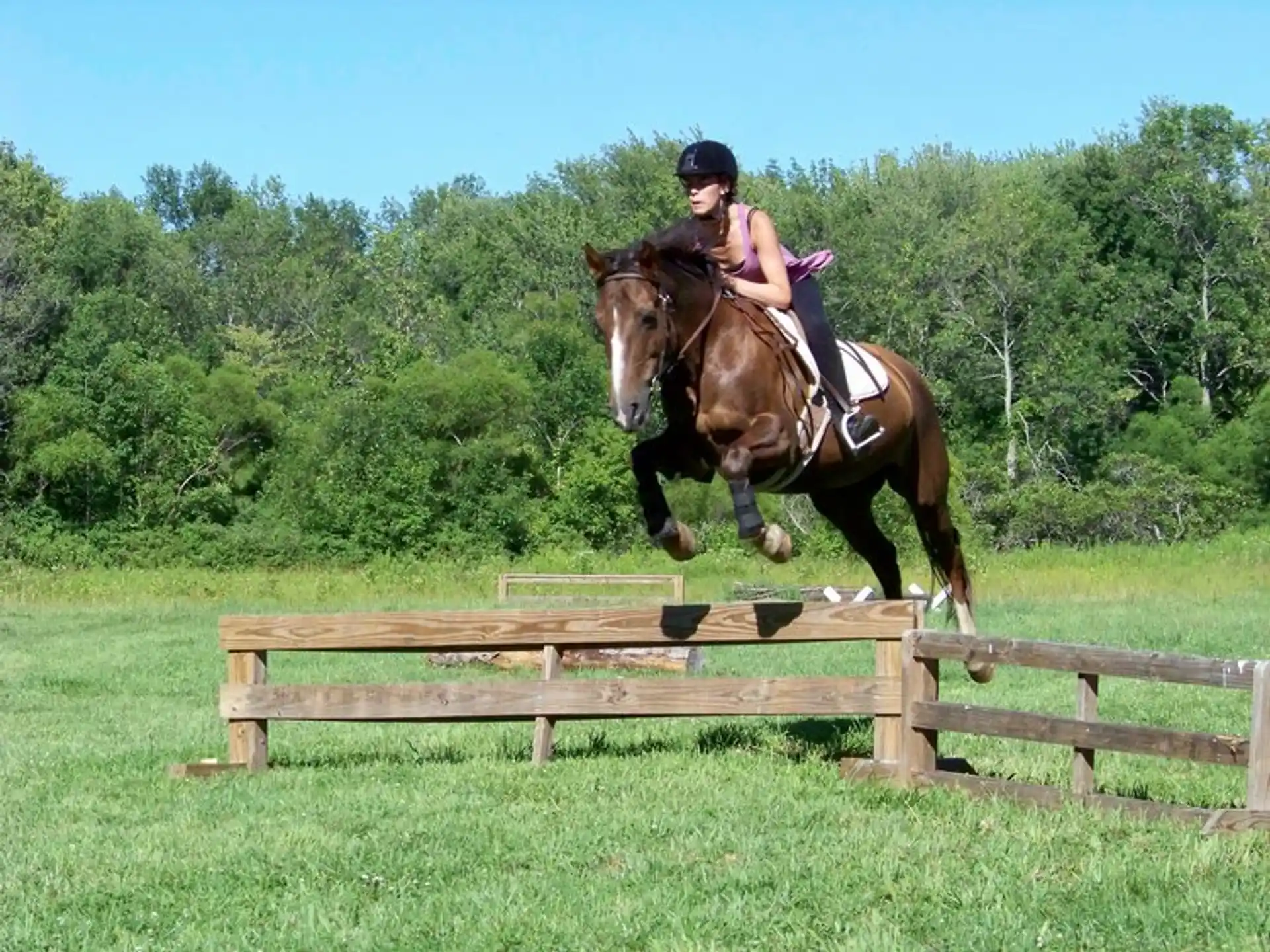 a person riding a horse