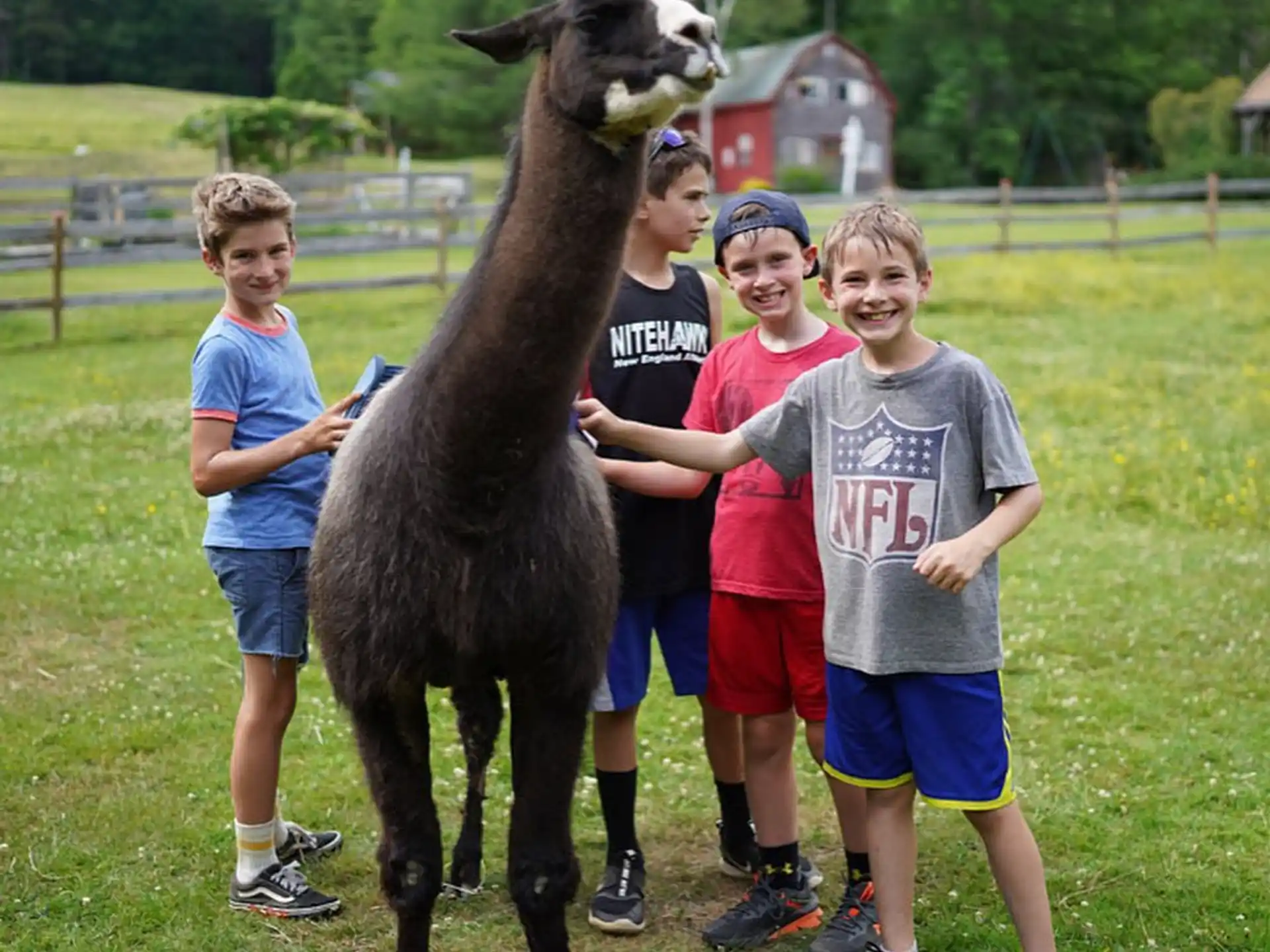 a group of kids posing with a llama