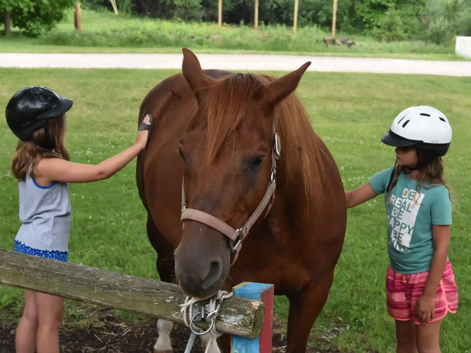 a couple of kids petting a horse