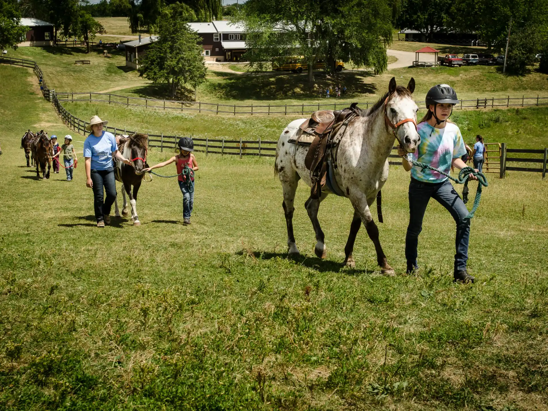a person leading a horse