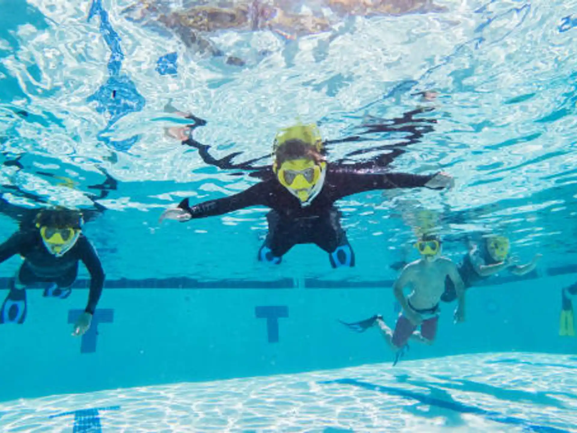 a group of people swimming in a pool