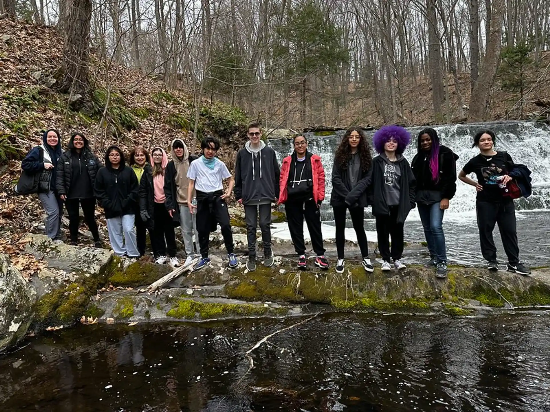 a group of people standing on a rock in the woods