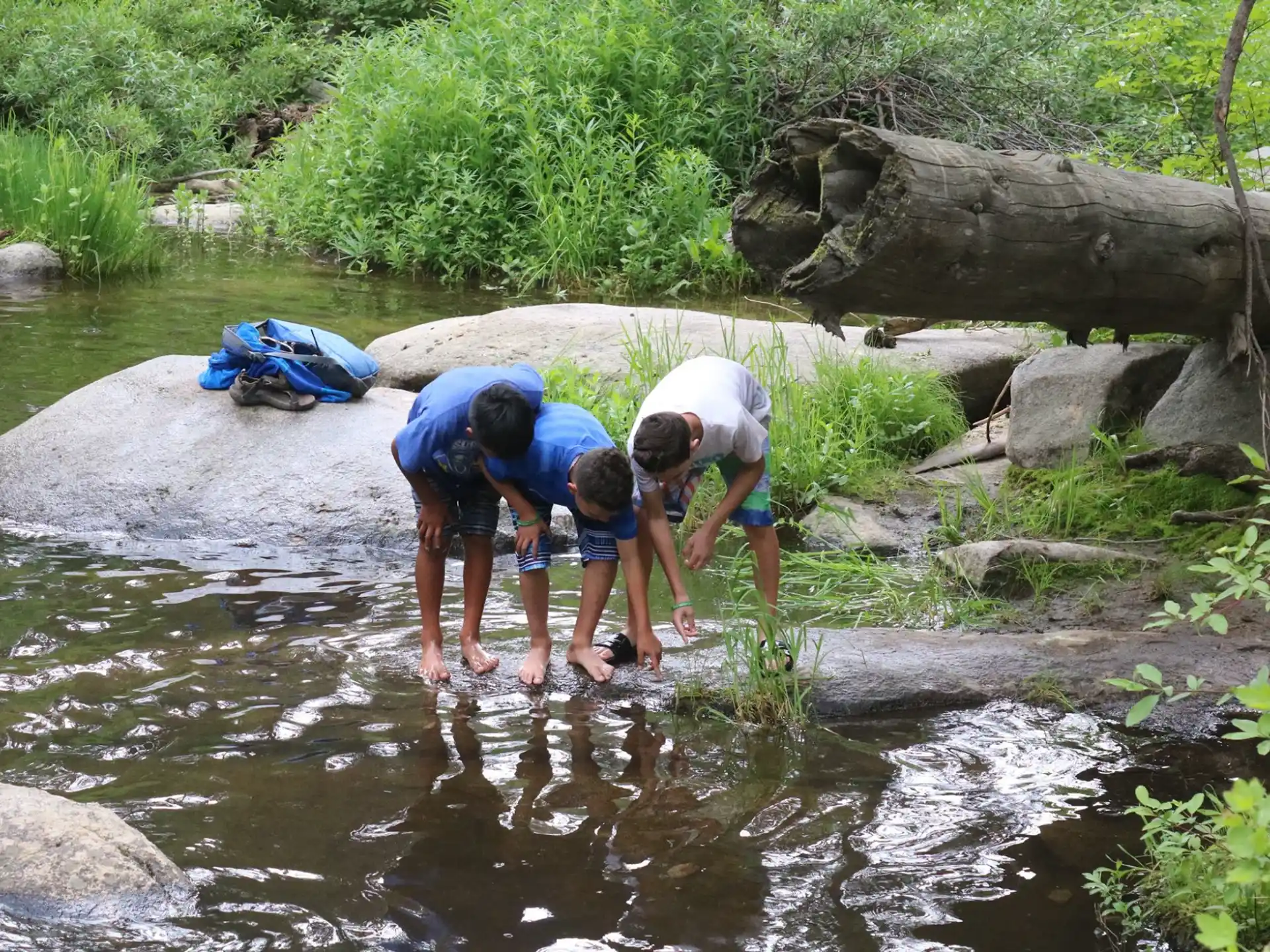 a group of people standing in a stream