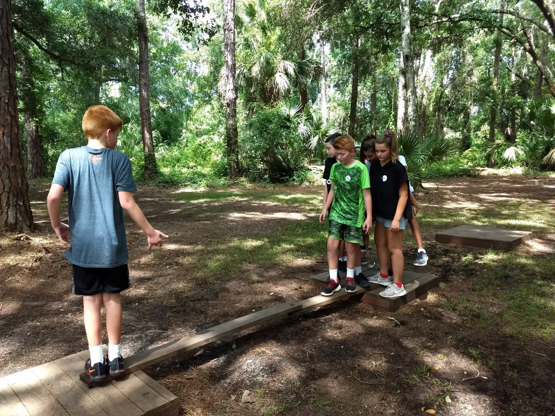 a group of people walking in the woods