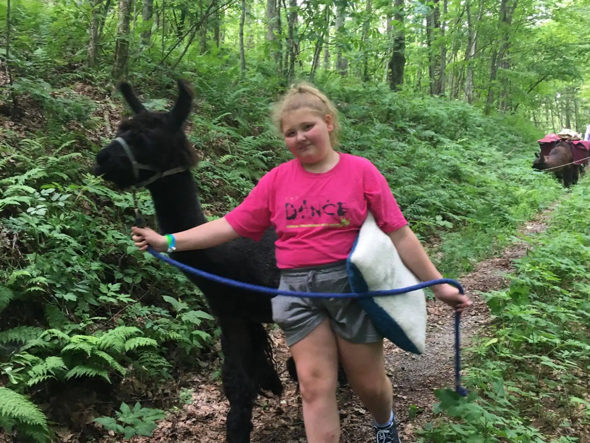 a person riding a horse