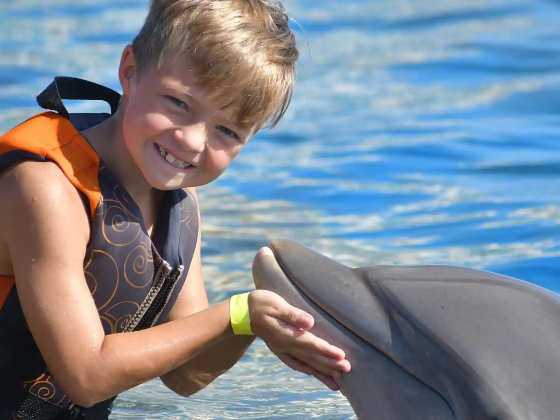 a boy holding a dolphin