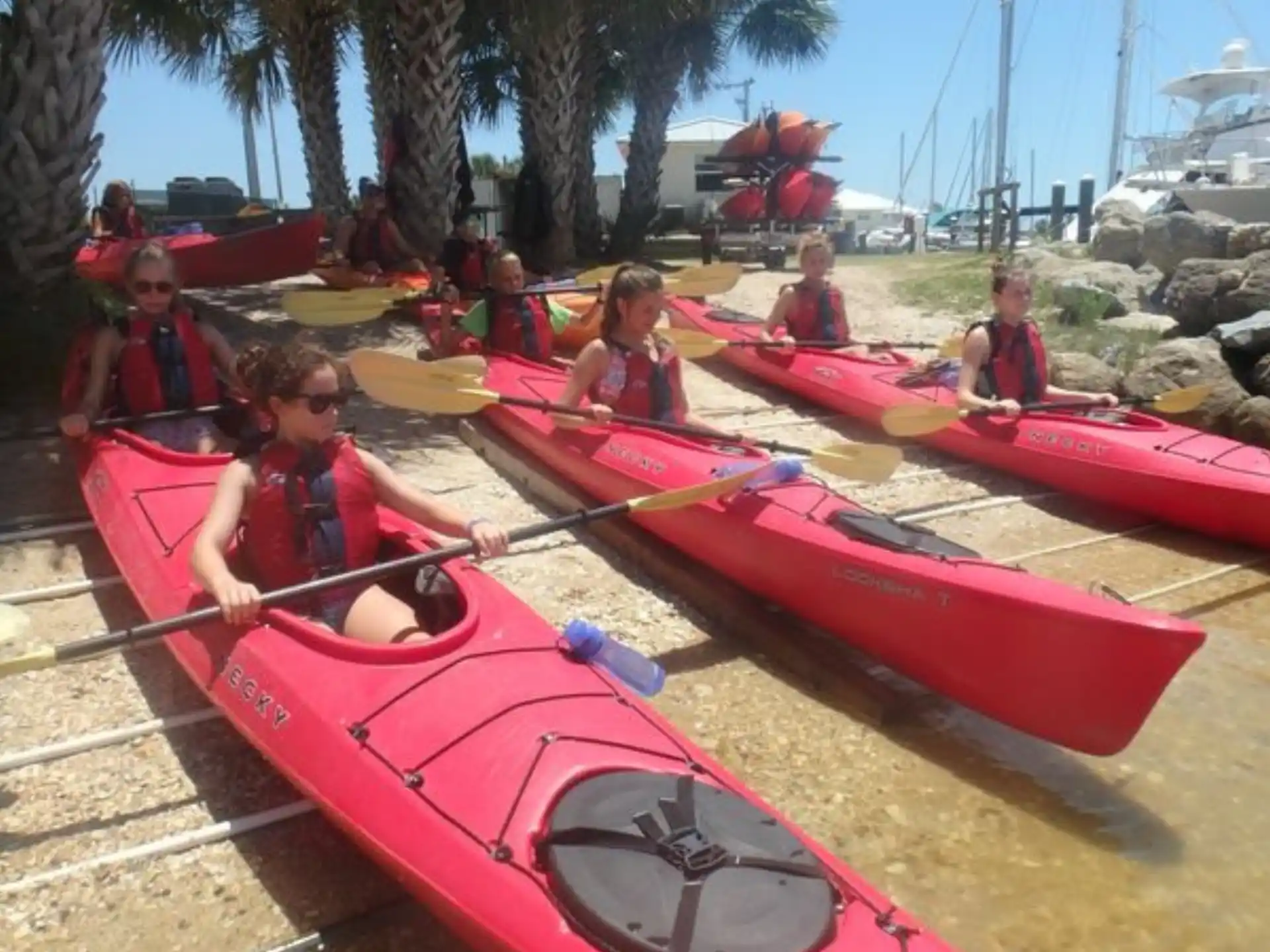 a group of people in kayaks