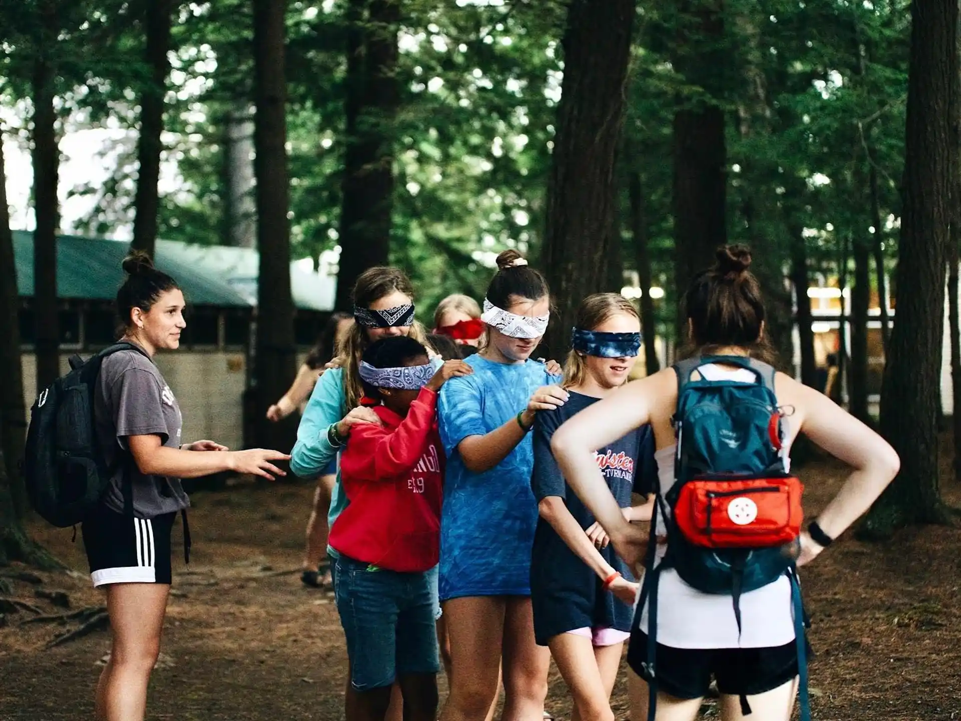 a group of people walking in a forest