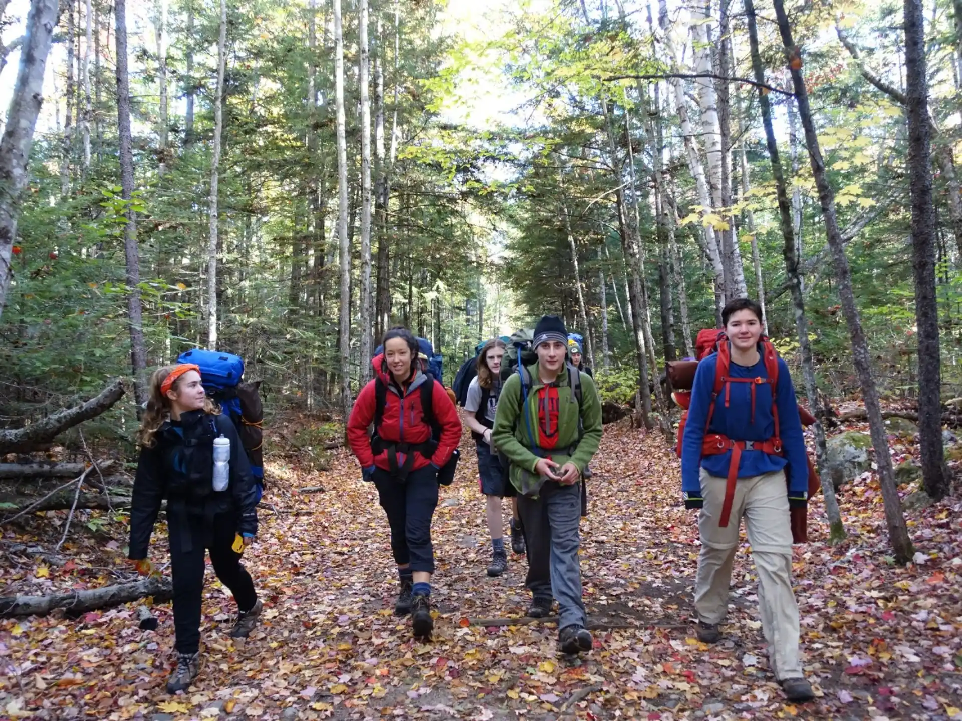 a group of people hiking in the woods