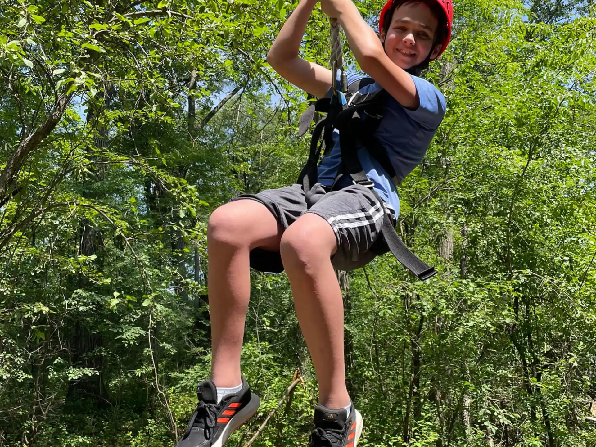 a person climbing a tree