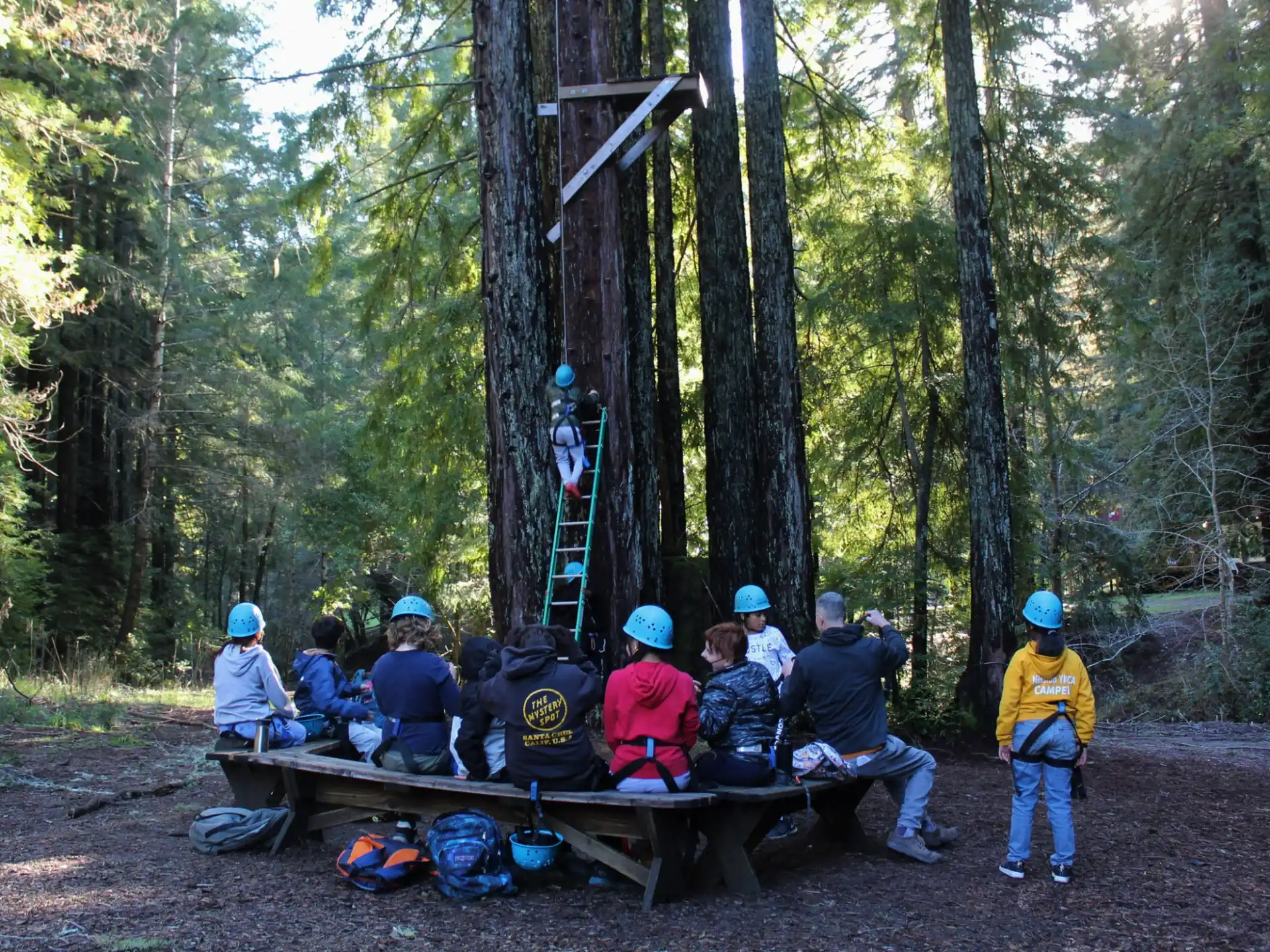 a group of people sitting on a bench in the woods