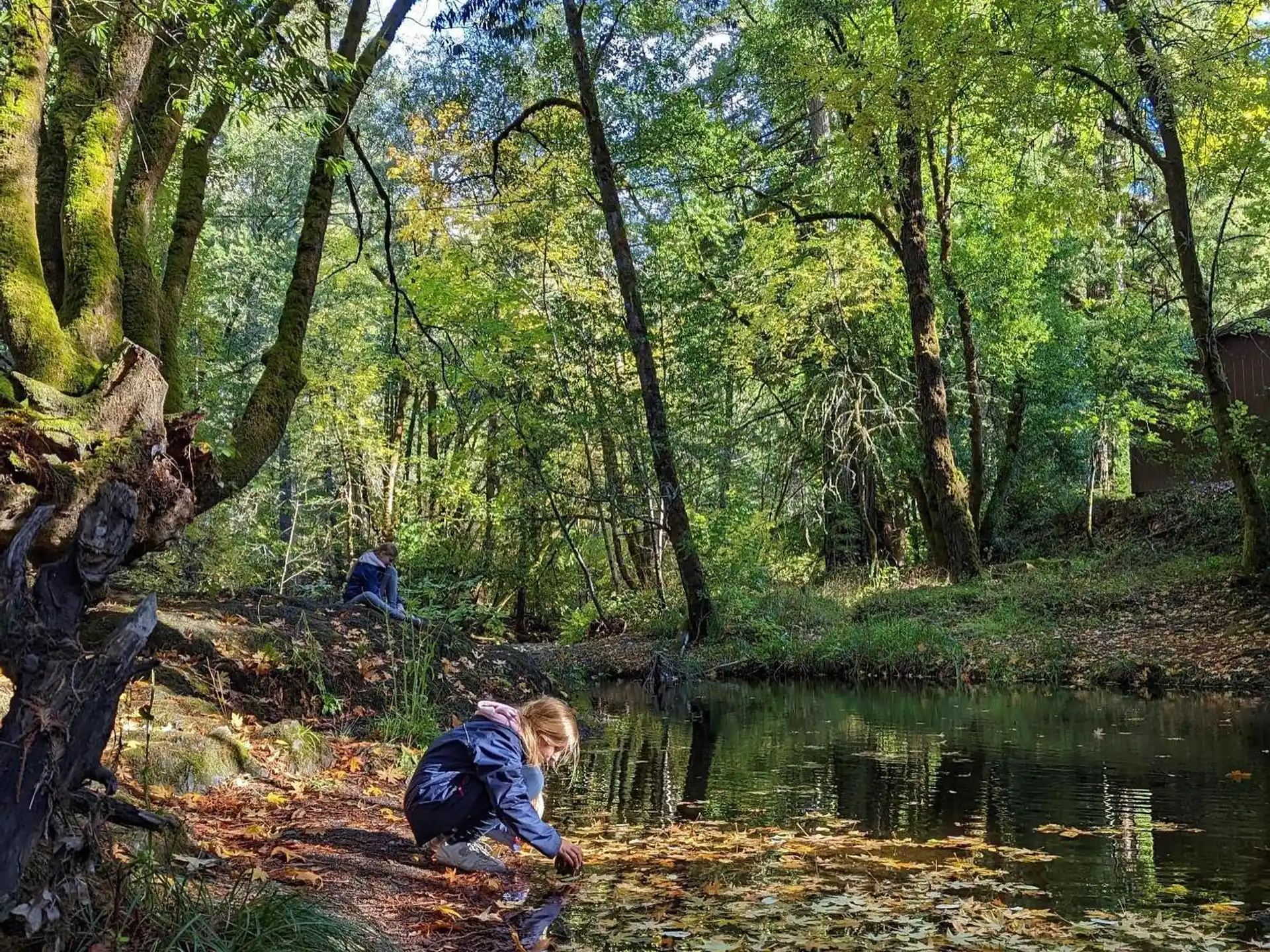 a group of people sitting on a log by a stream in the woods