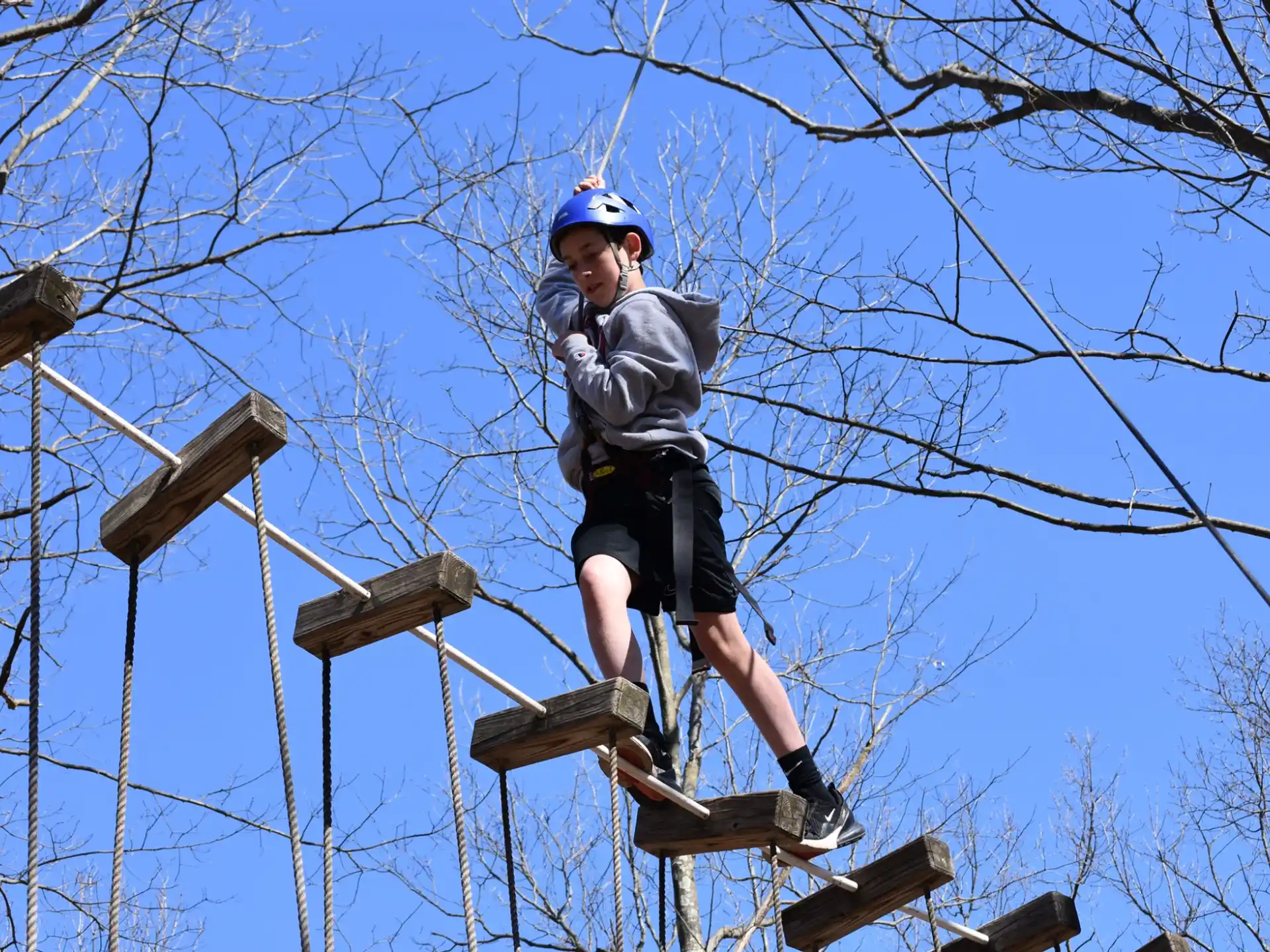 a man climbing a tree