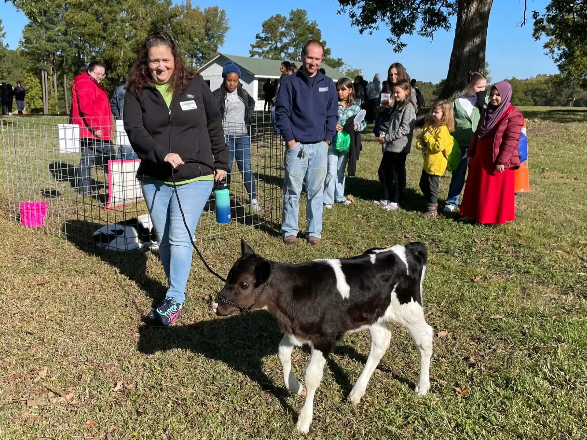 a person and a goat in a park