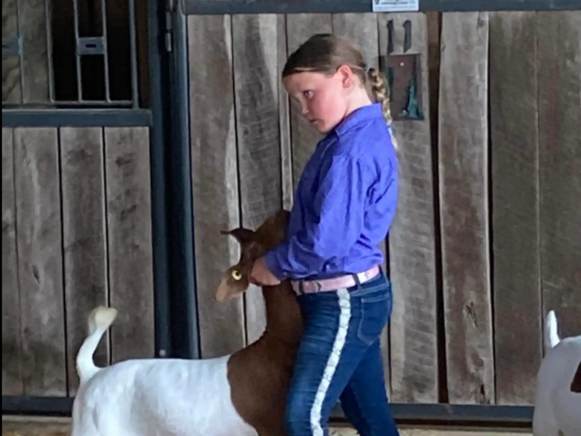 a person standing next to a horse