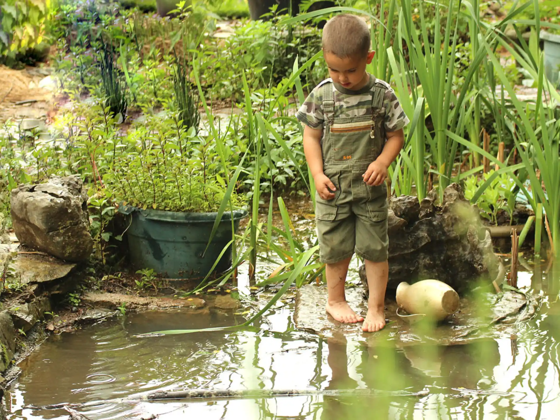 a boy standing in a pond