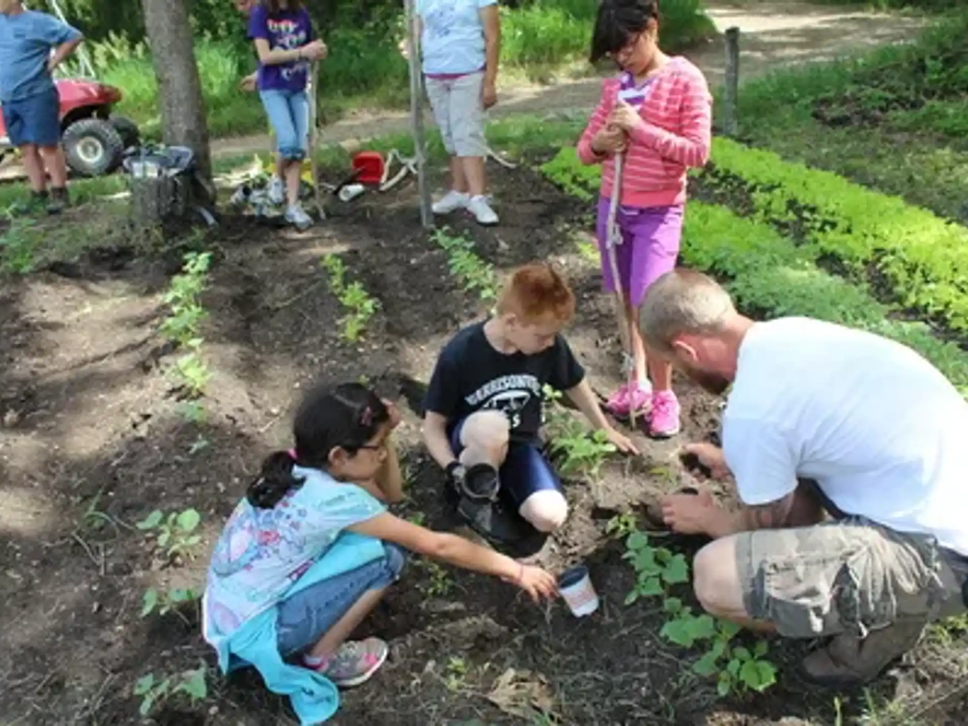 a group of people digging in the dirt