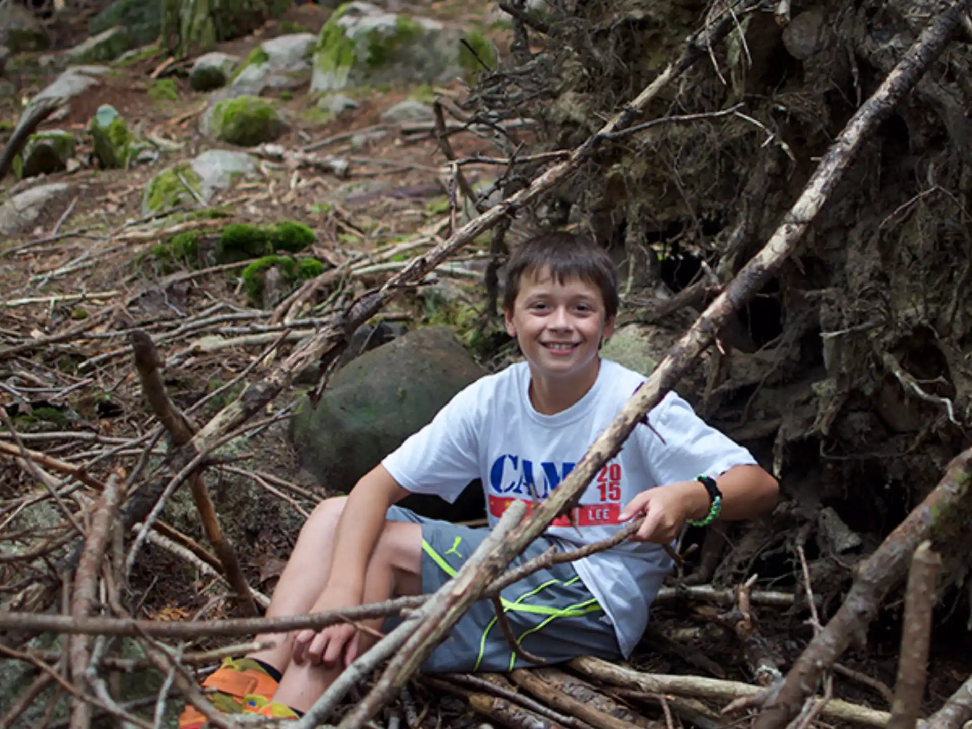 a boy sitting in a tree