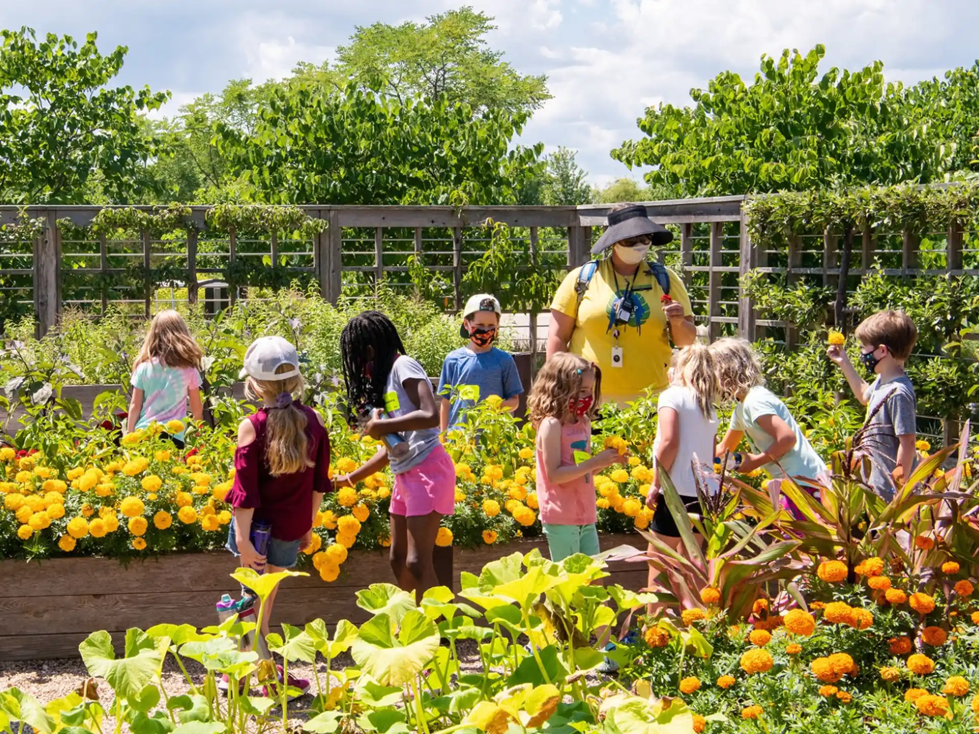 a group of people looking at flowers