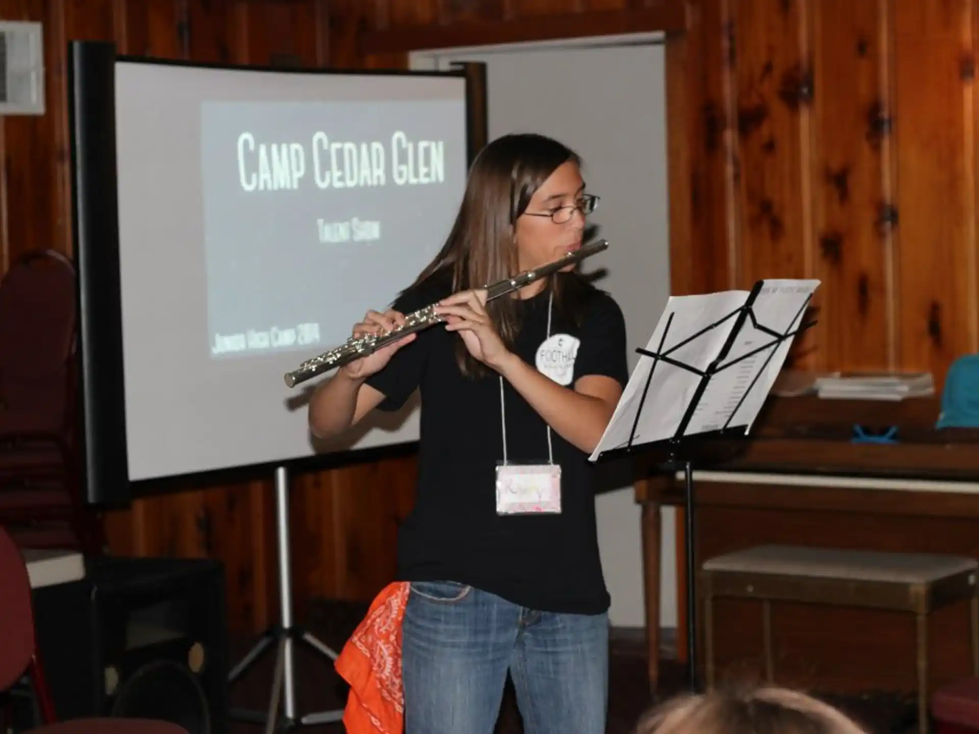 a person playing a violin