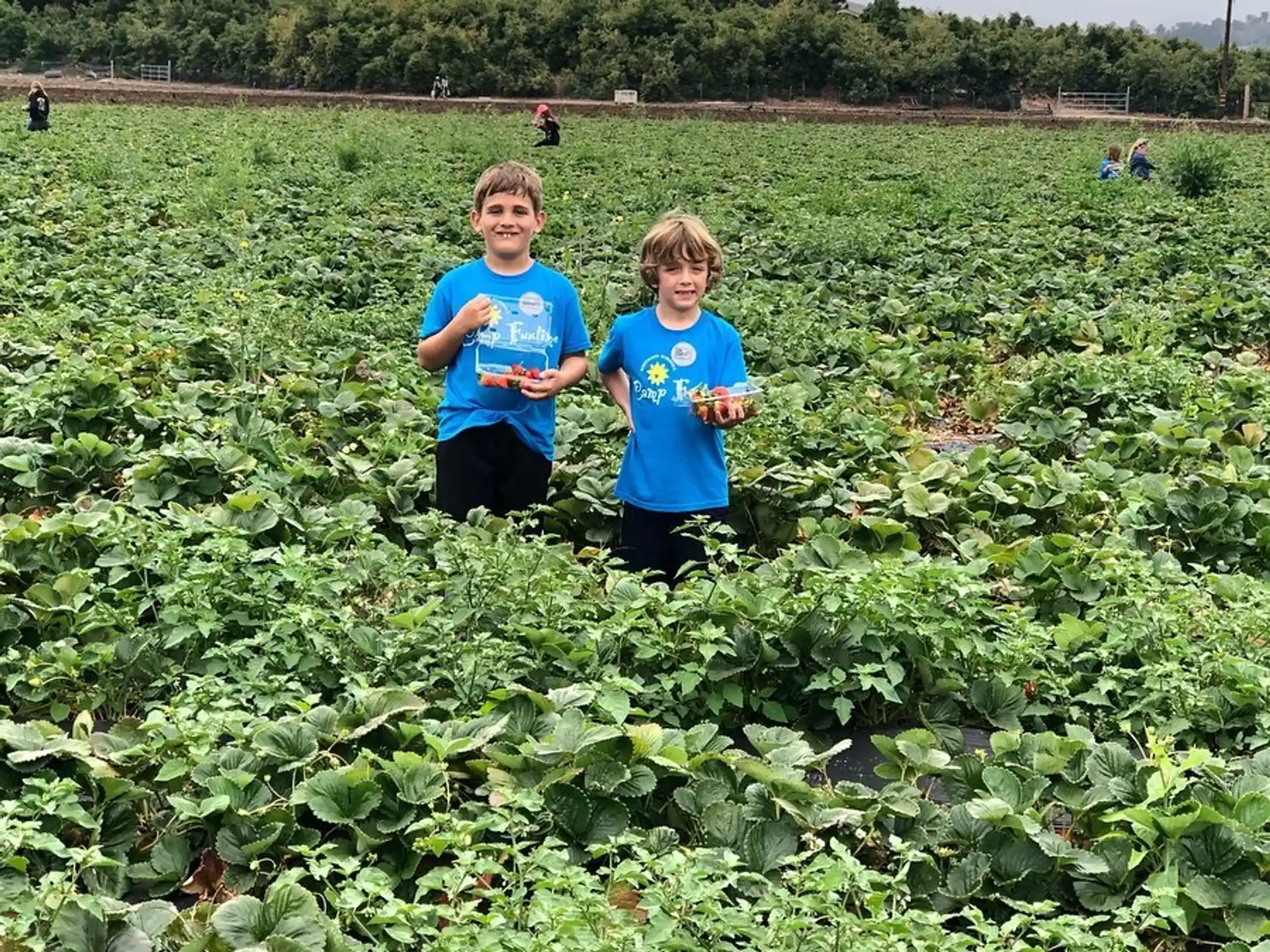 two children in a field
