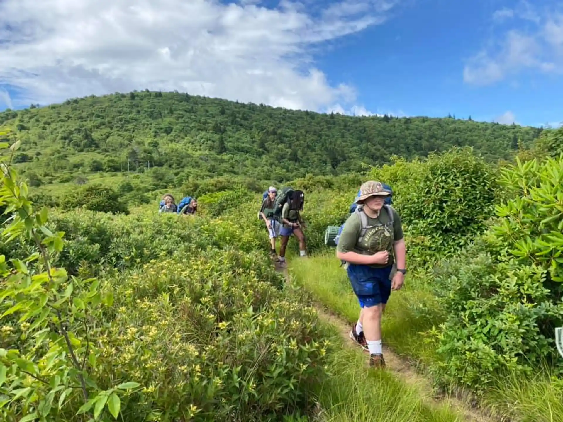 a group of people hiking in a forest
