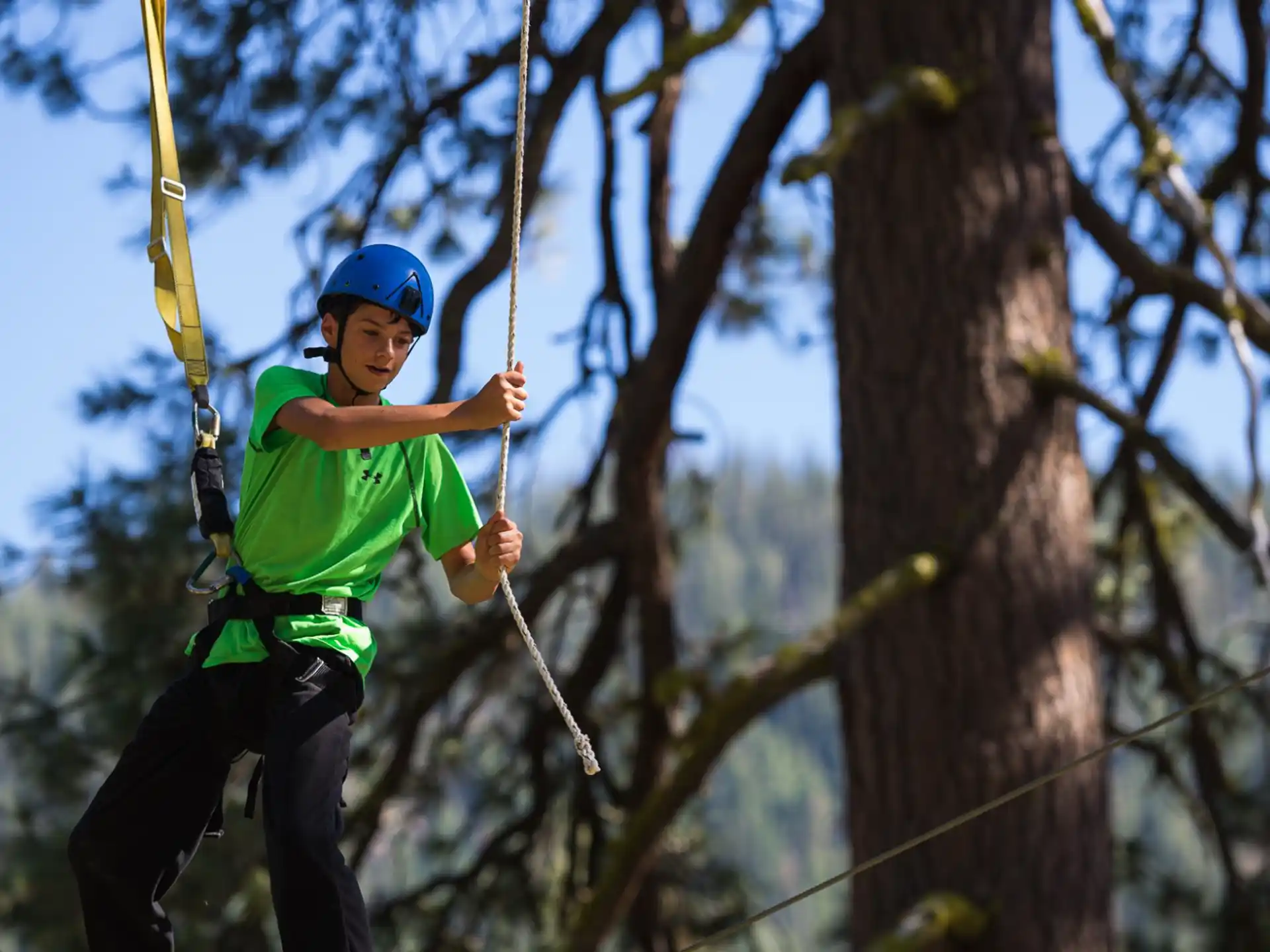 a person wearing a helmet and climbing a tree
