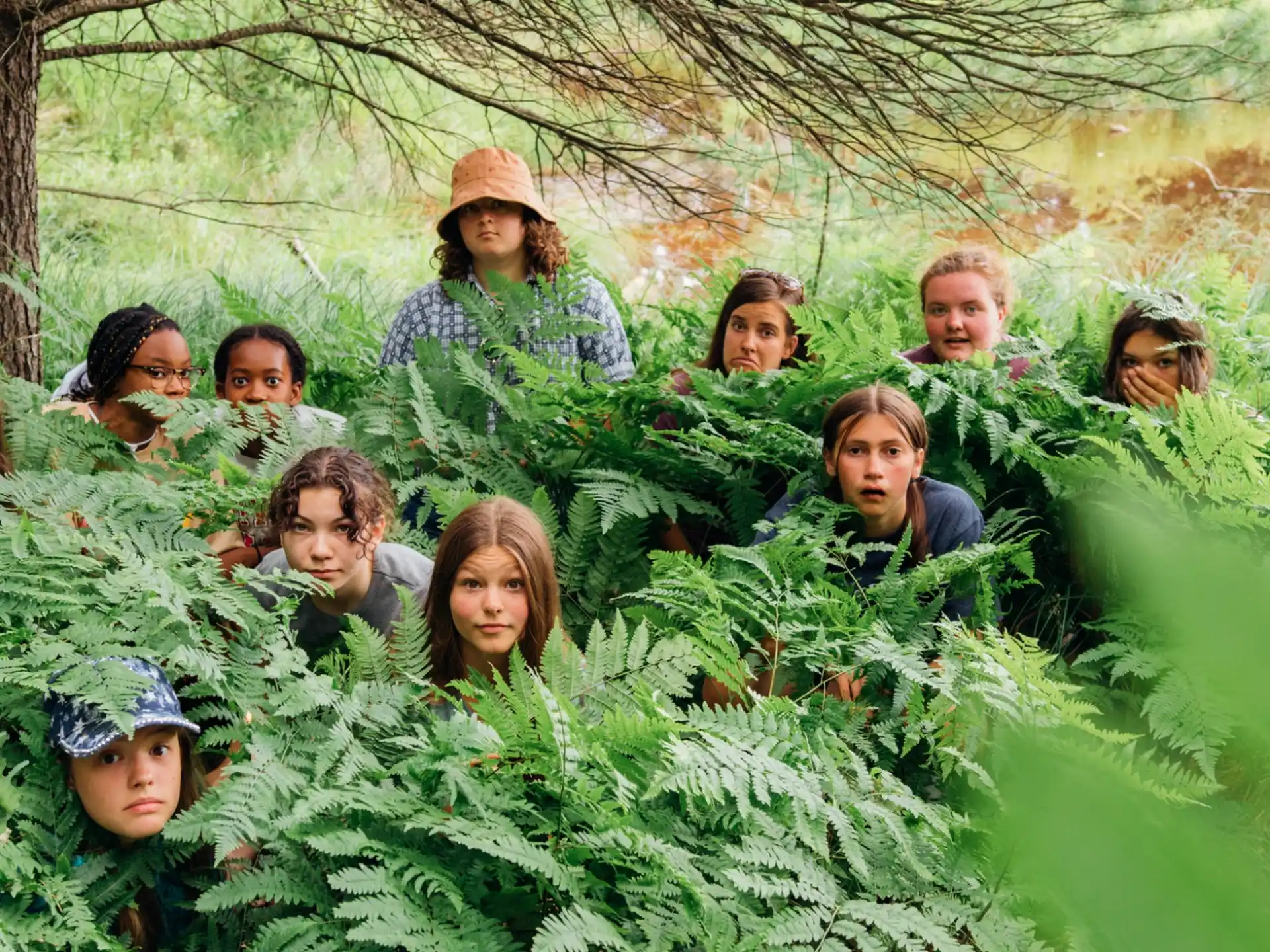 a group of people in a forest