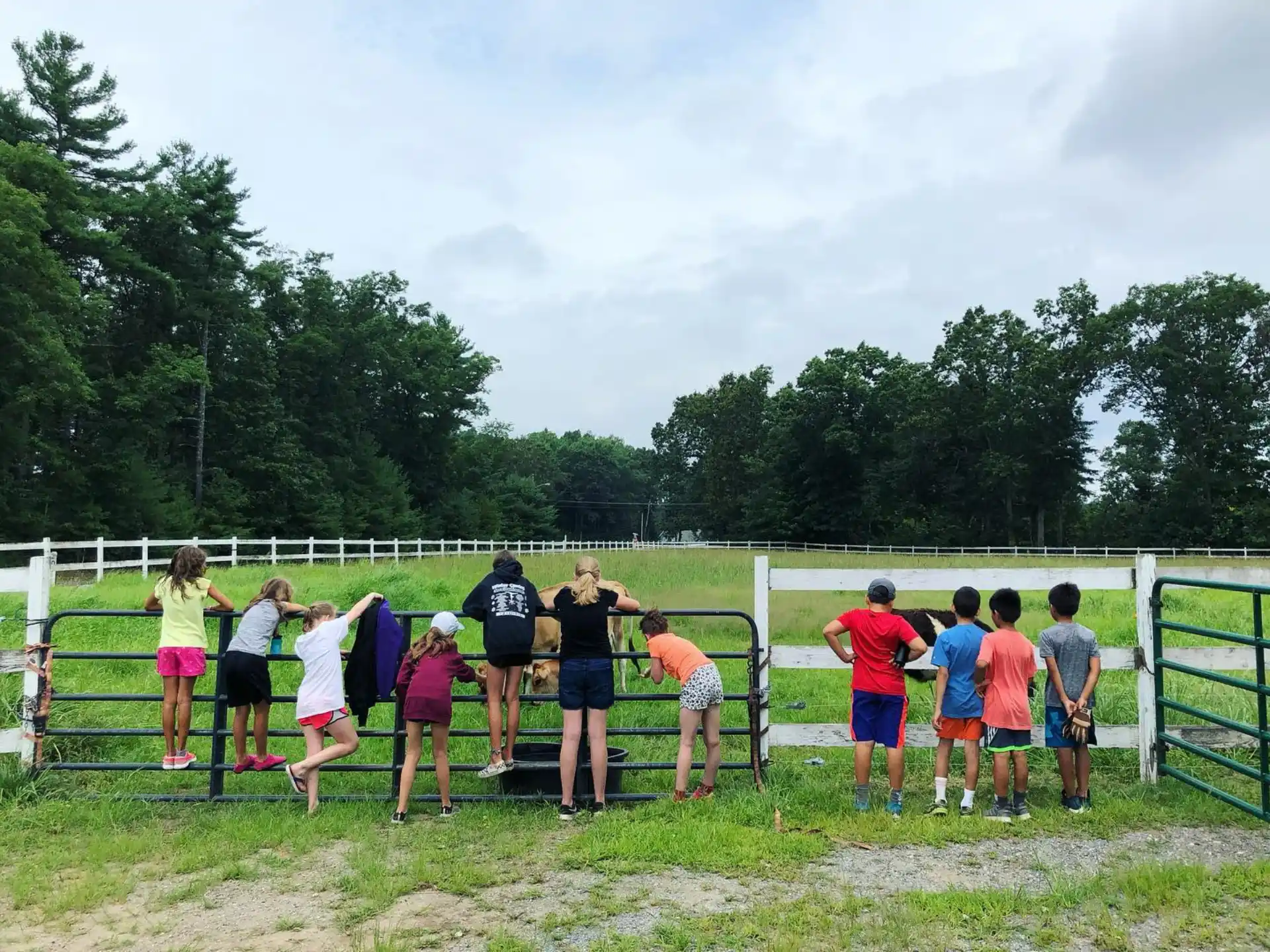 a group of people standing on a field