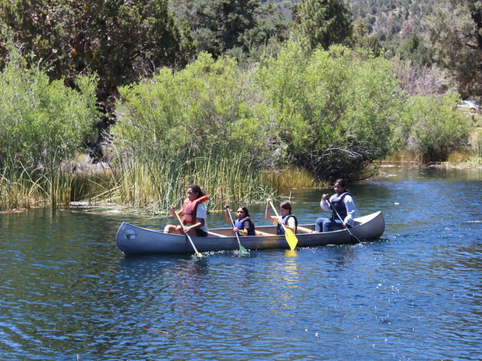 a group of people rowing a boat