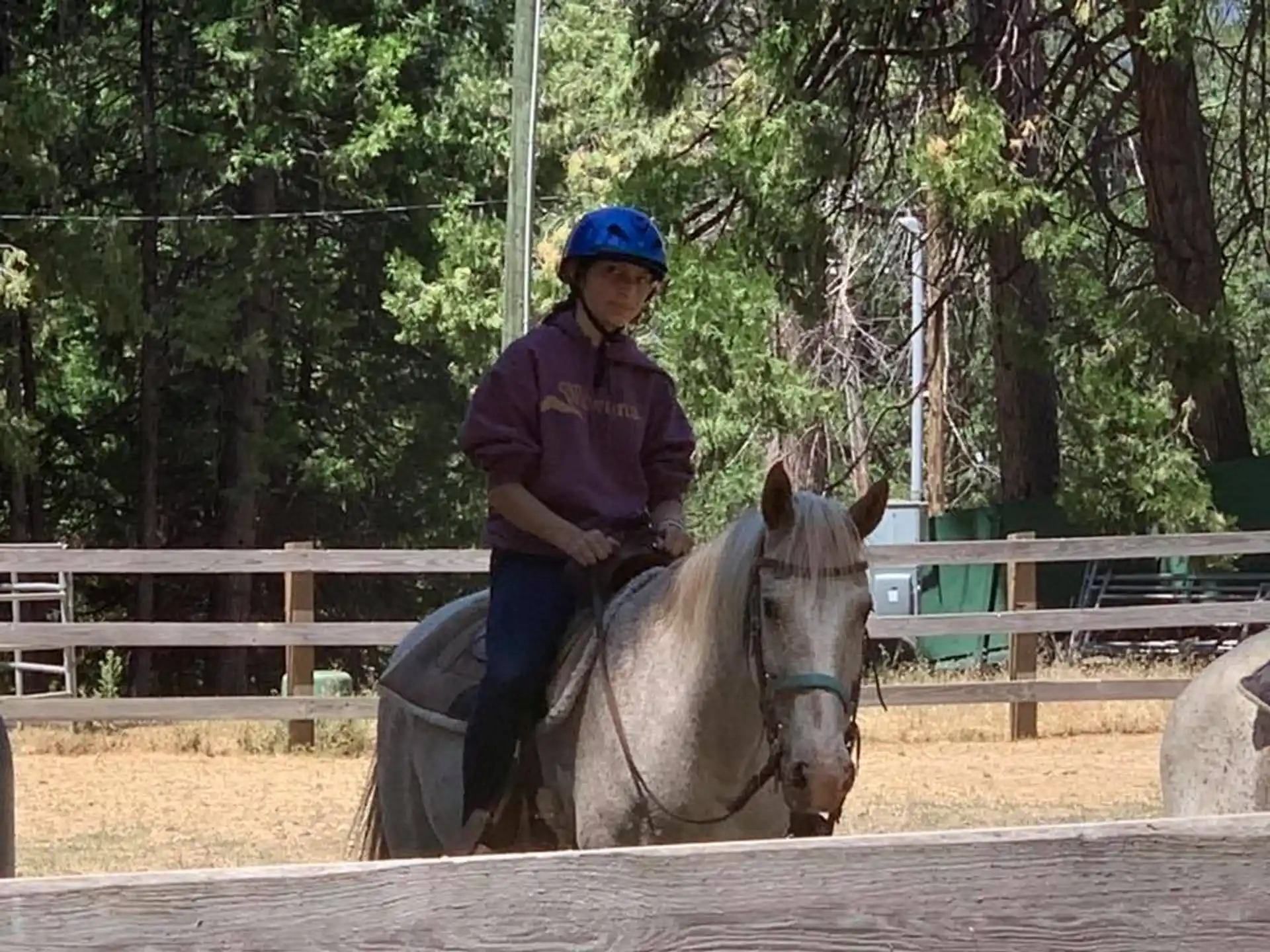 a man riding a horse