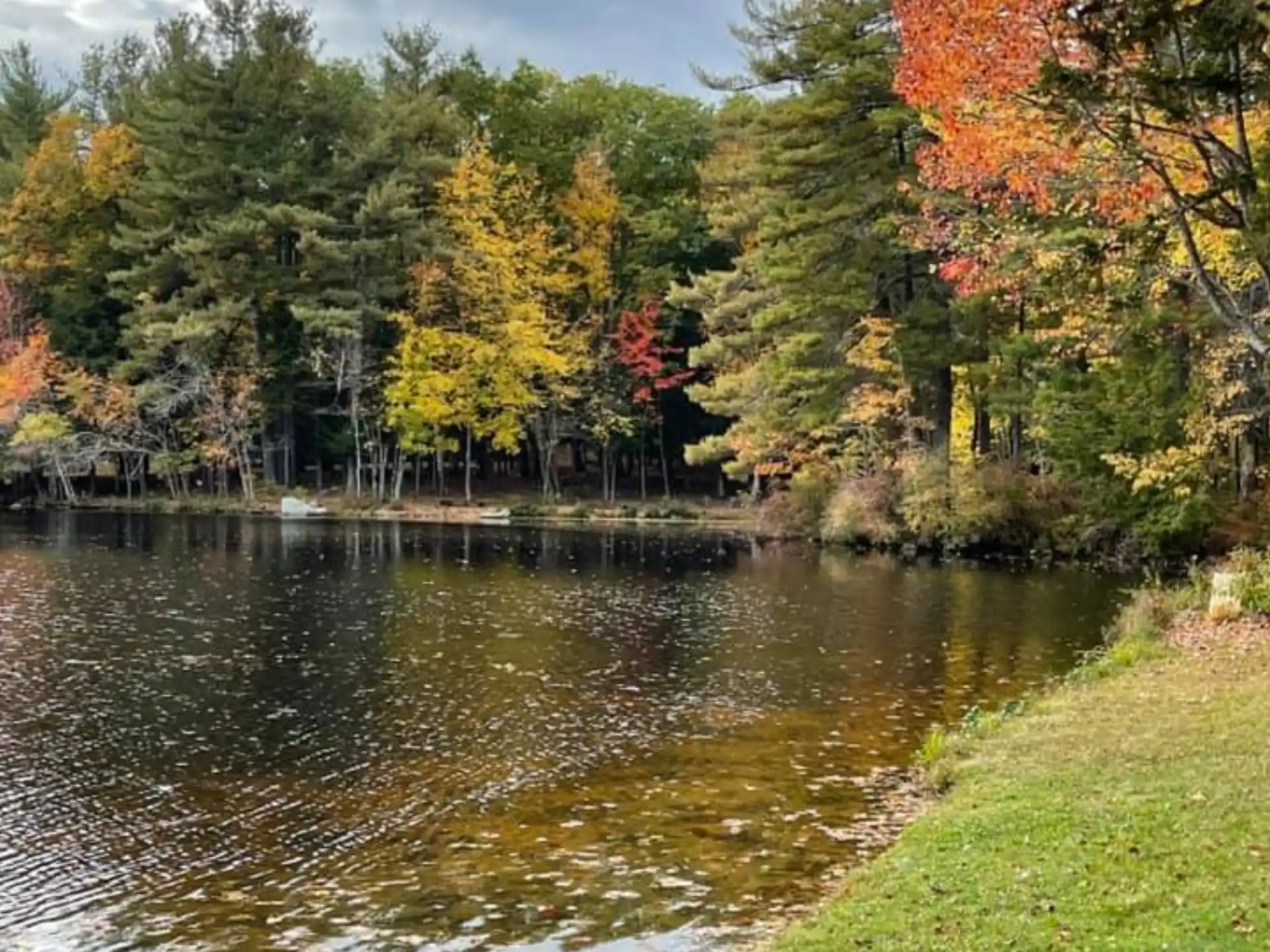 a river with grass and trees around it