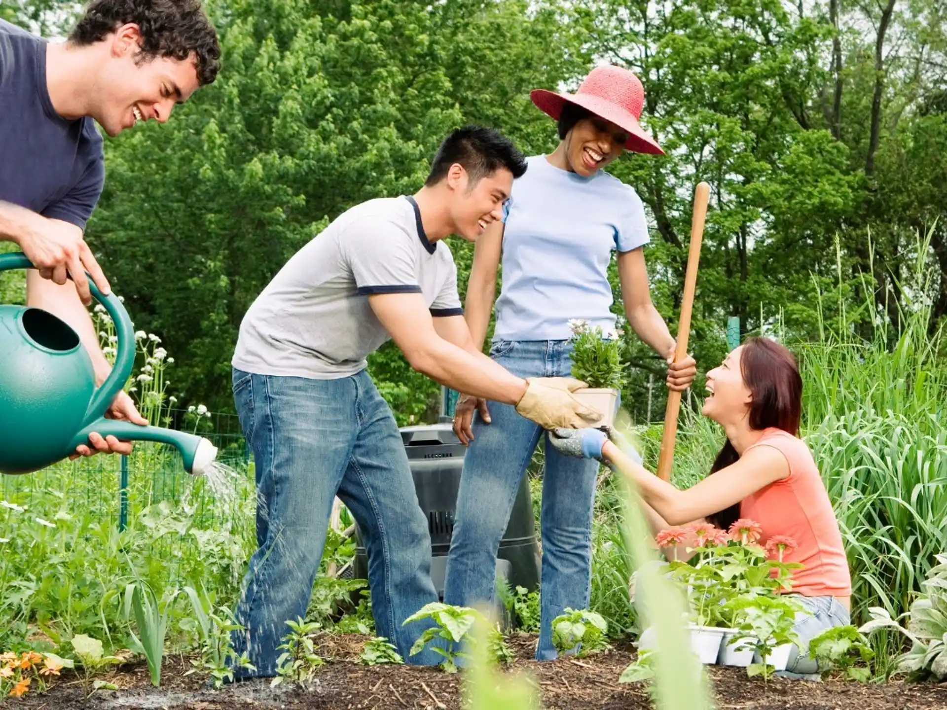 a group of people working in a garden