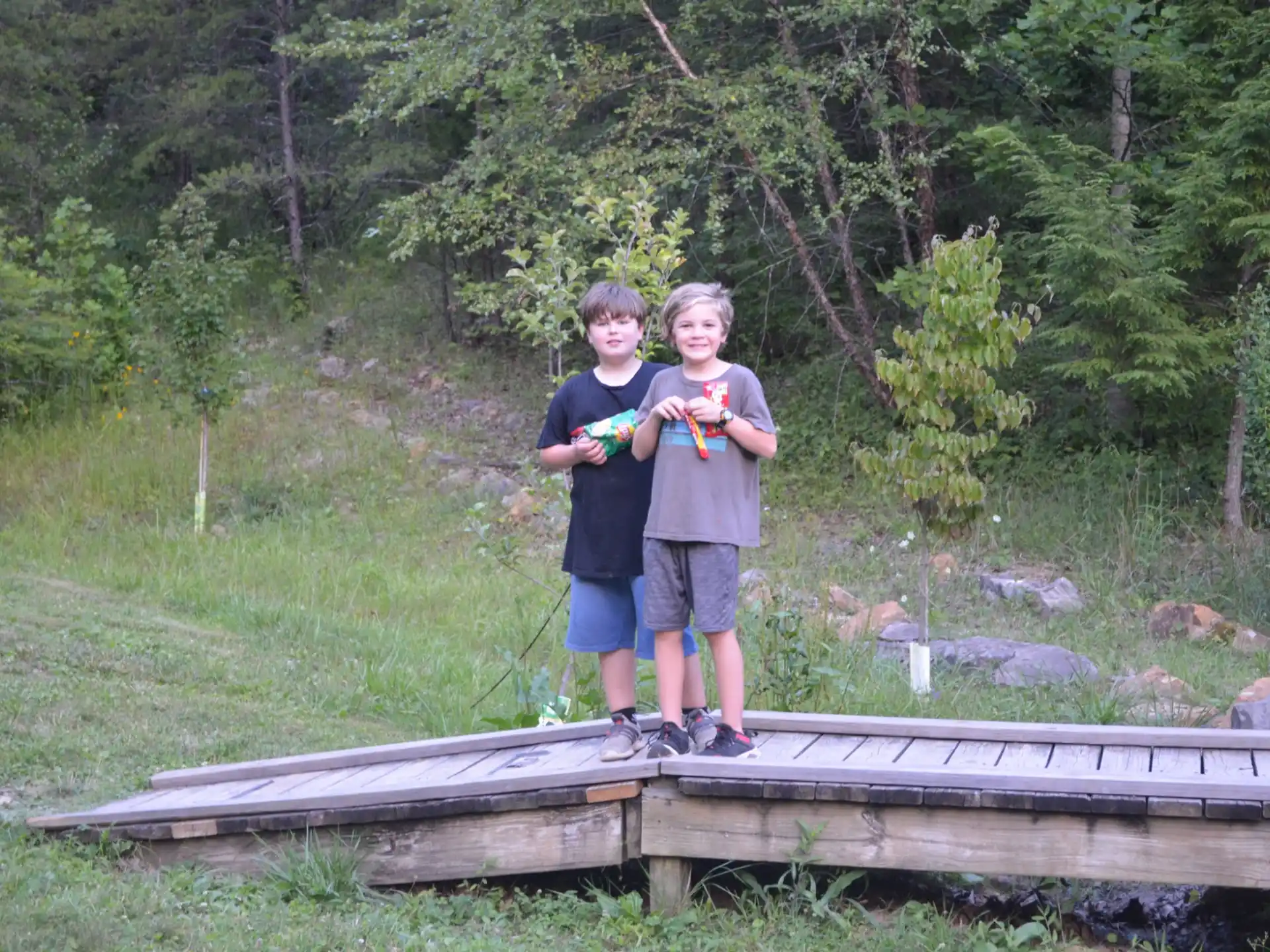 a group of children standing on a log in a grassy area