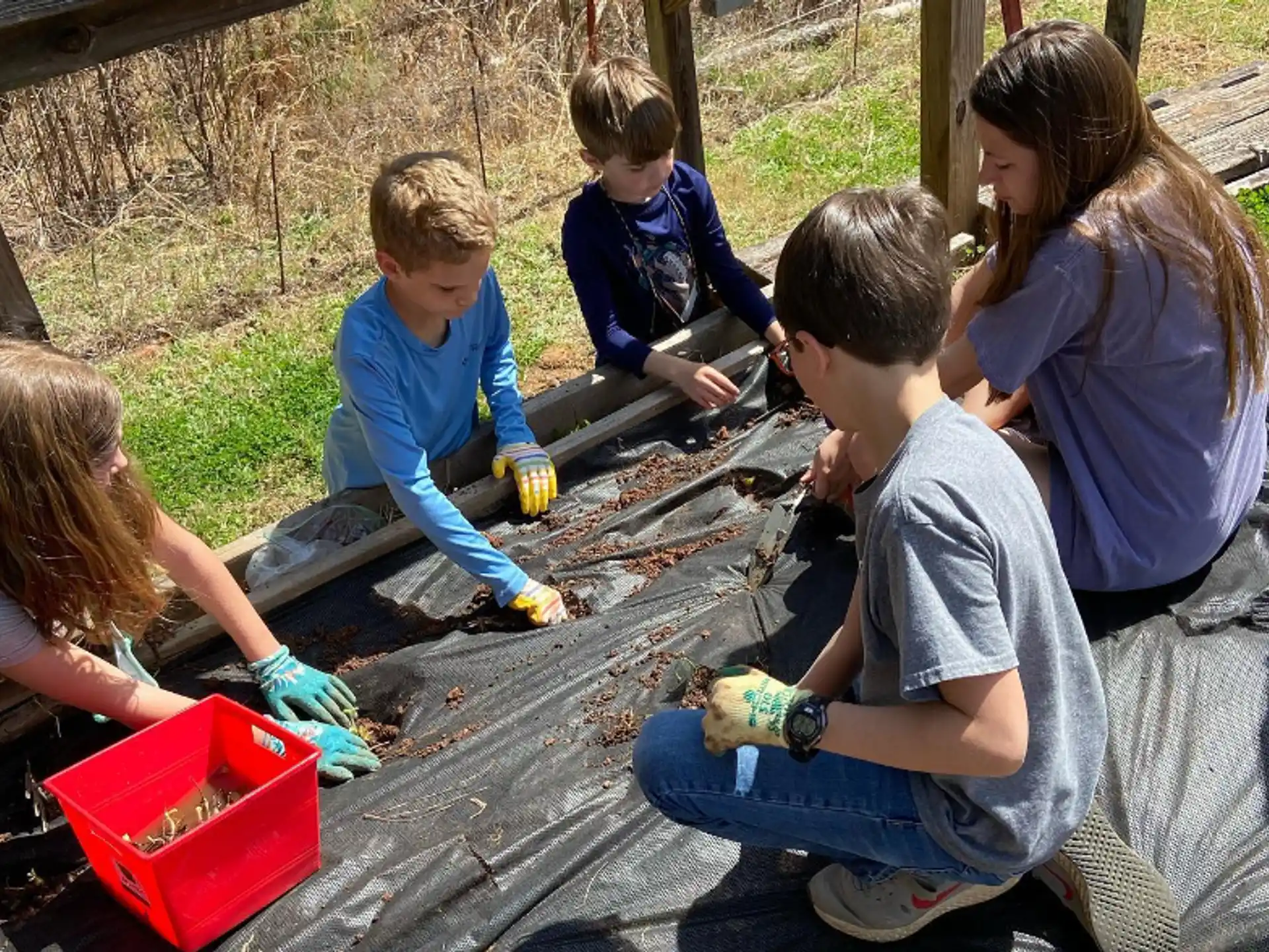 a group of children playing outside