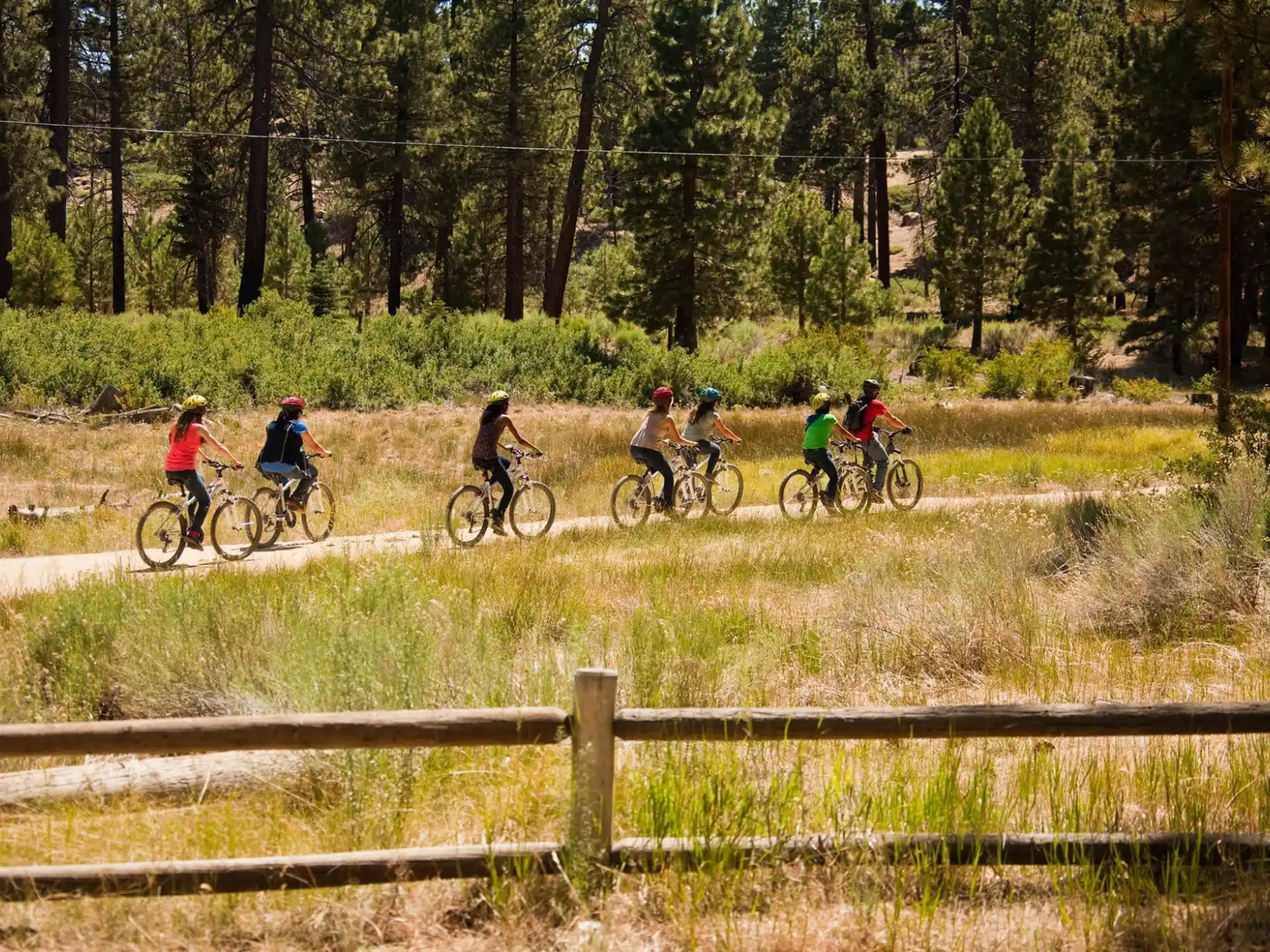 a group of people riding bikes on a dirt road