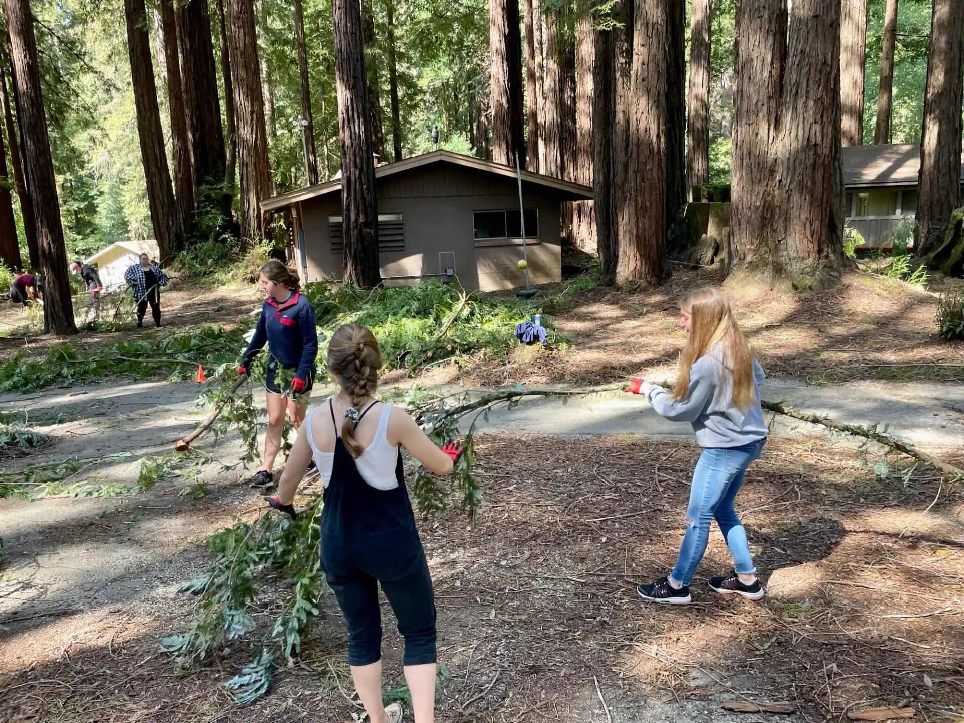 a group of people in a wooded area