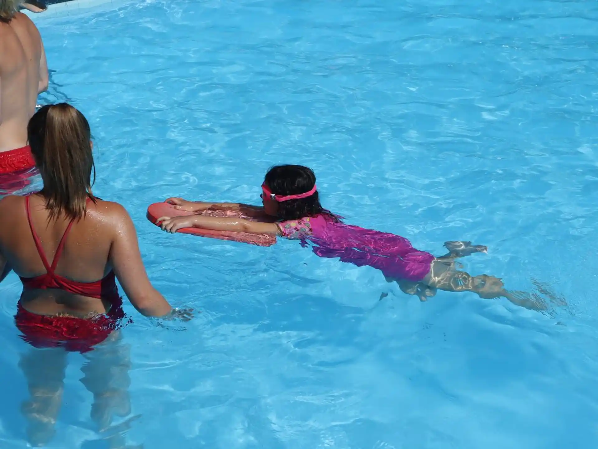 a person and a dolphin in the water