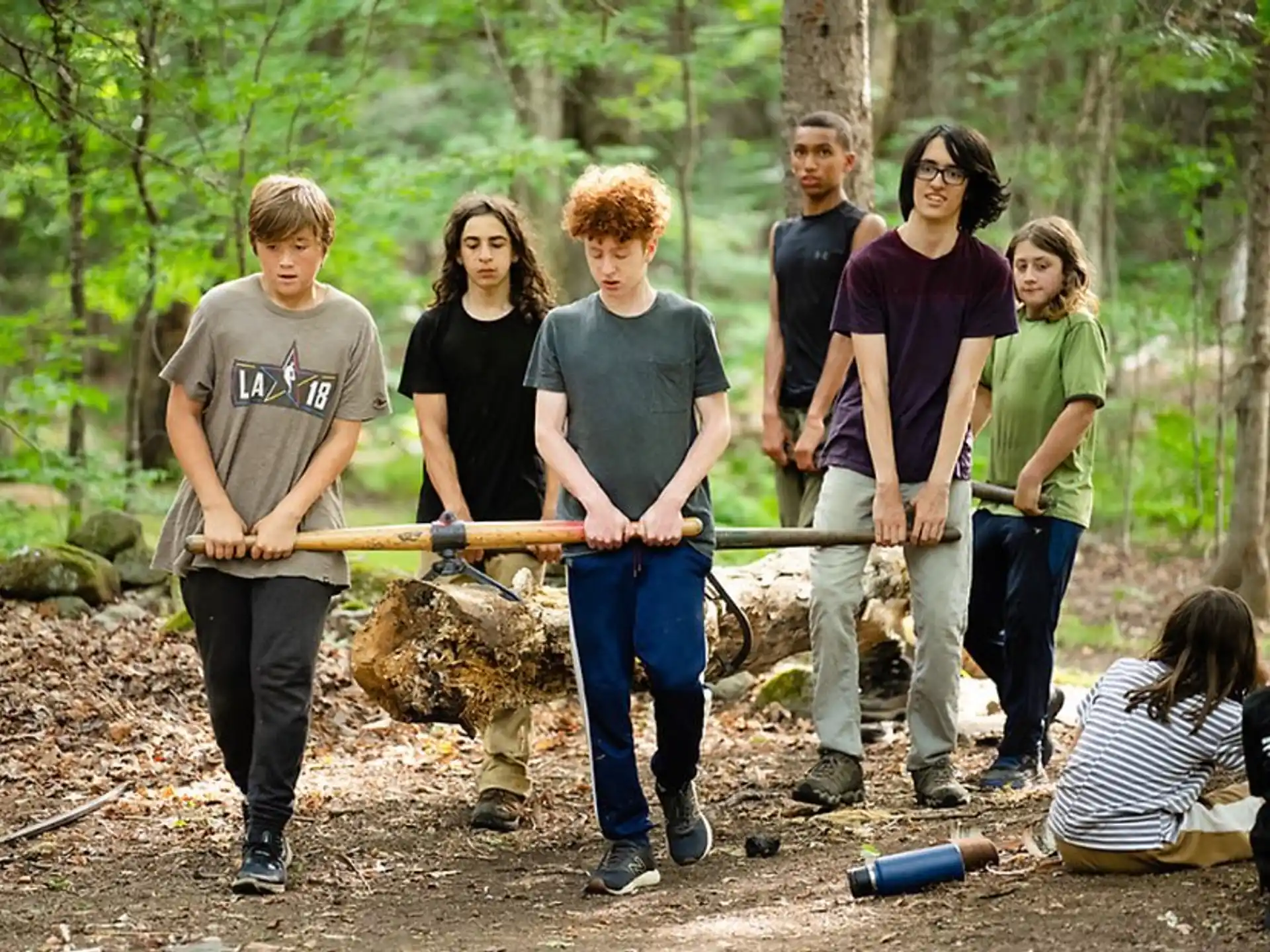 a group of people standing around a tree stump