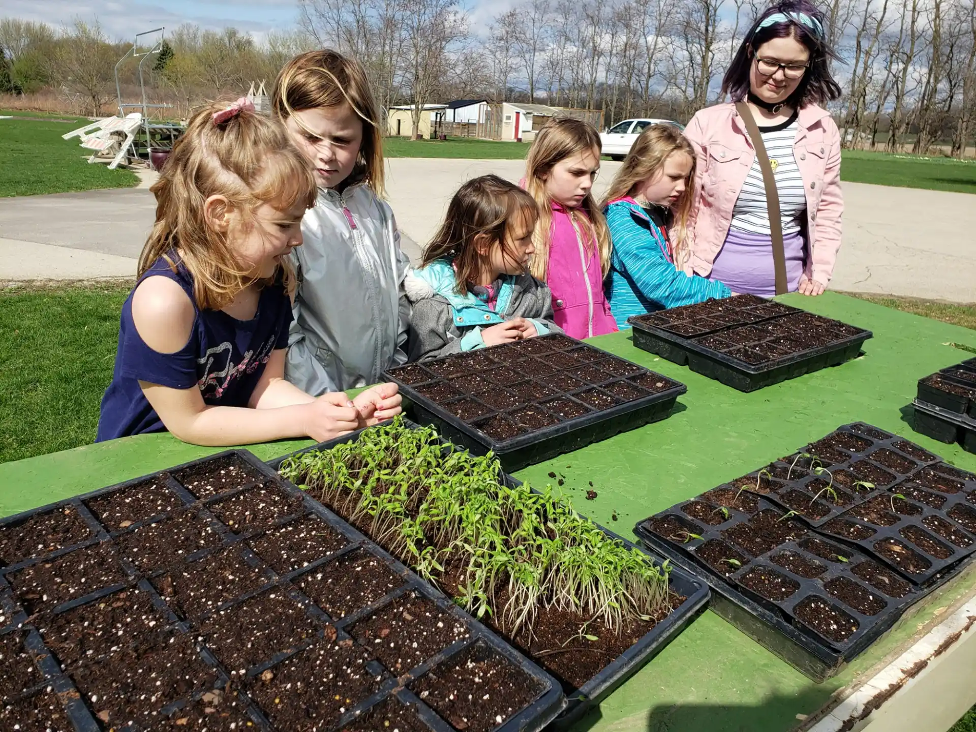 a group of people looking at plants