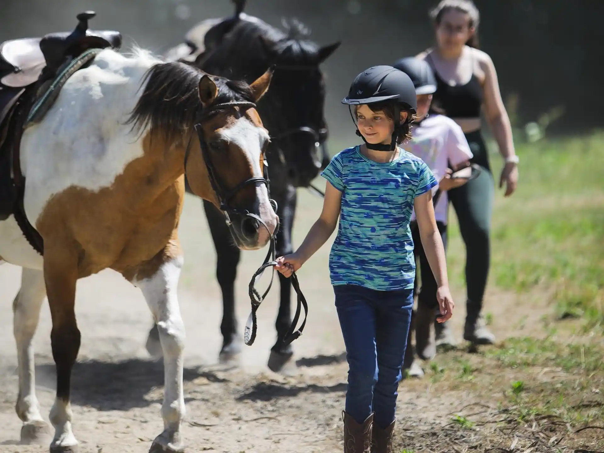 a person walking with a couple of horses